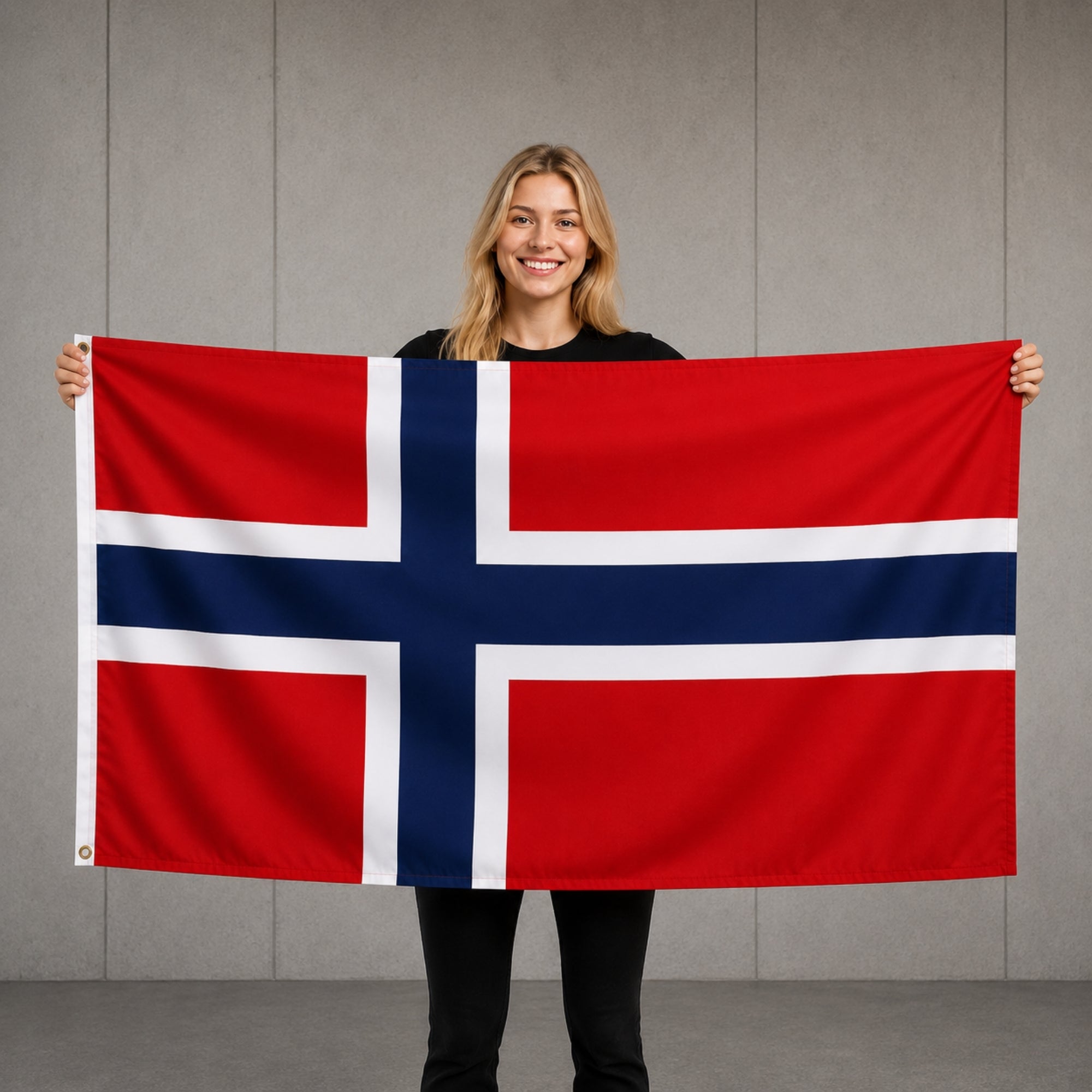 Drapeau - Norvège