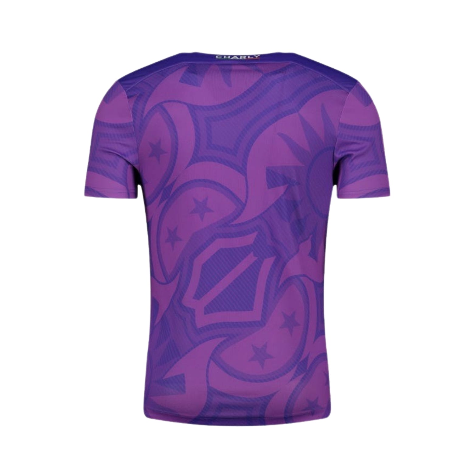 Everton de Viña del Mar Gardiens de But 25/26