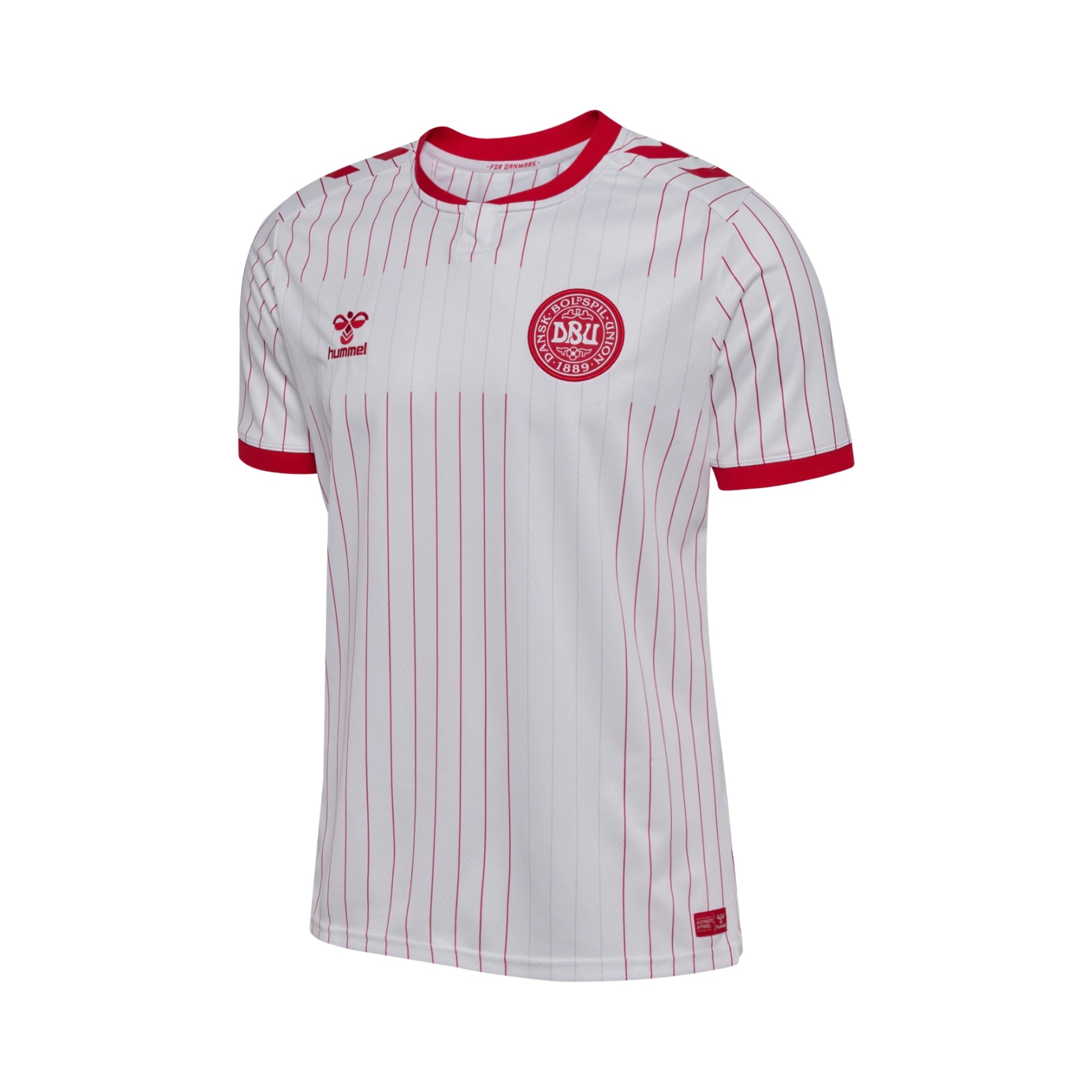 Danemark Extérieur 26/27 - Coupe du Monde 2026 - Version Joueur
