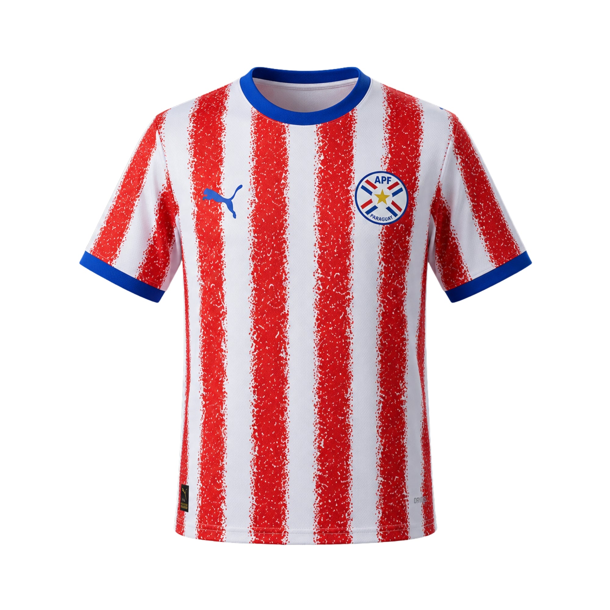 Paraguay Domicile 26/27 - Coupe du Monde 2026
