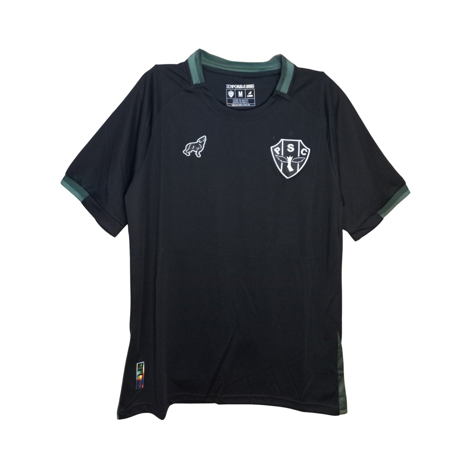 Paysandu Gardiens de But 25/26