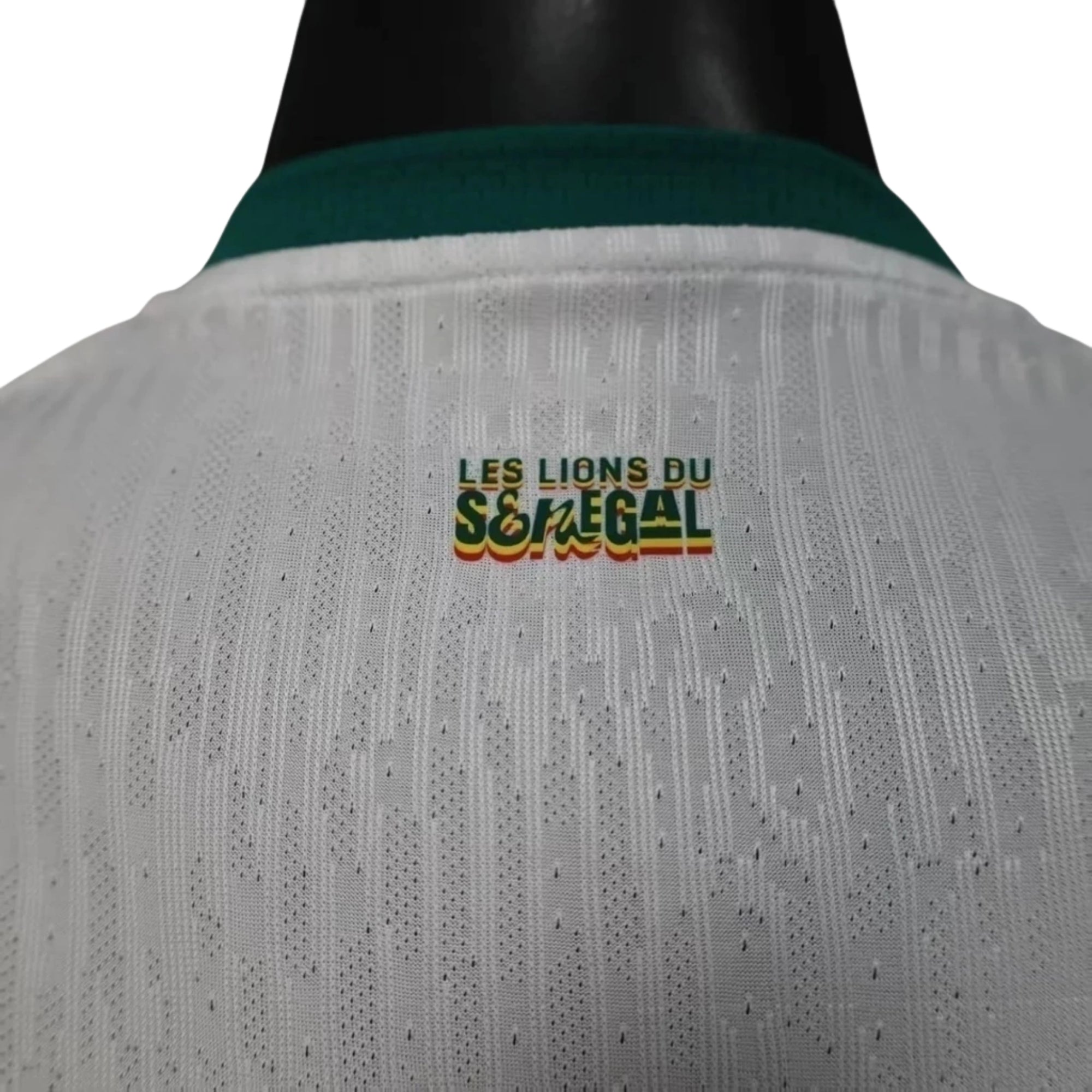 Senegal Domicile 26/27 - Coupe du Monde 2026 - Version Joueur