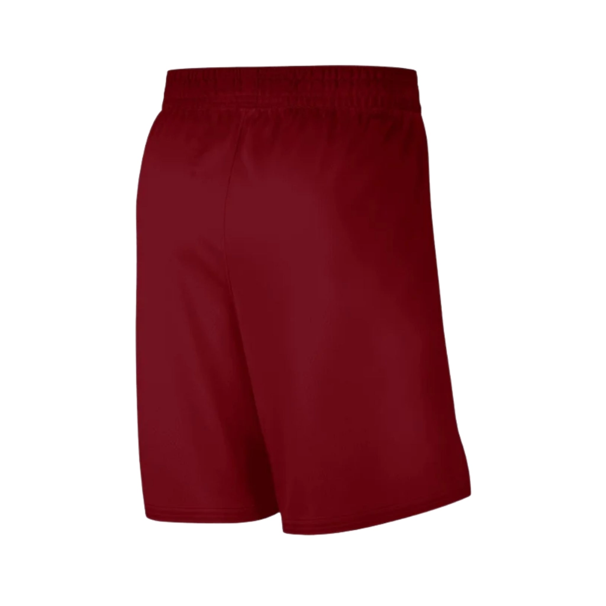 Cleveland Cavaliers Icon Edition 25/26 - Vue rapprochée