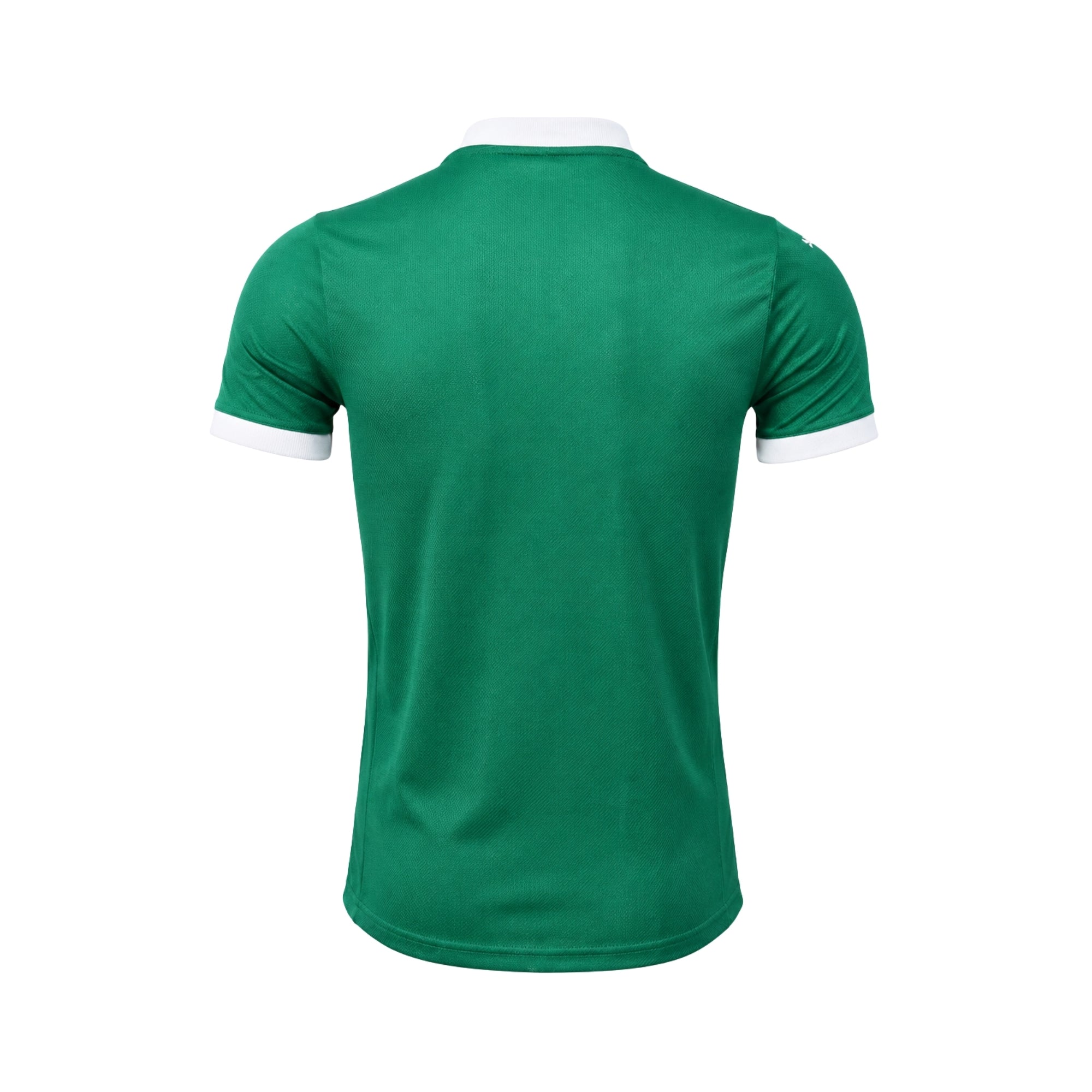 Palmeiras Domicile 25/26 - Version Joueur
