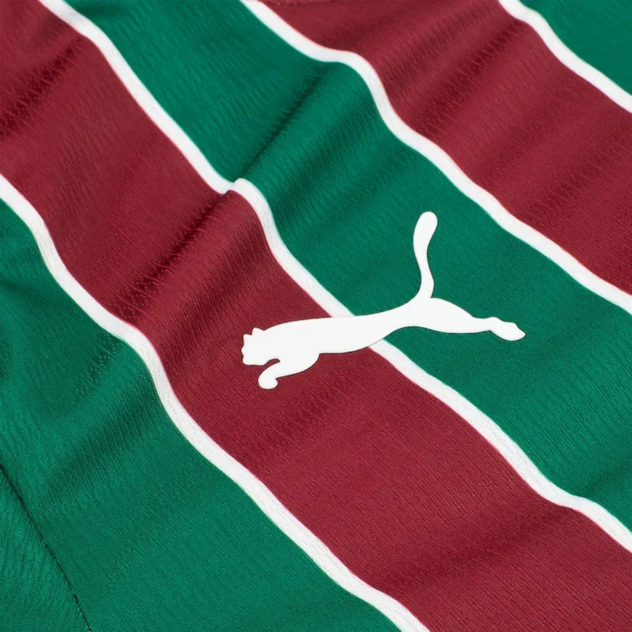 Fluminense Domicile 26/27 - Vue rapprochée