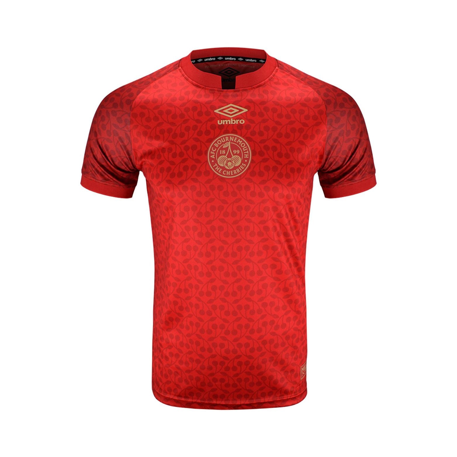 Bournemouth Édition Speciale 24/25