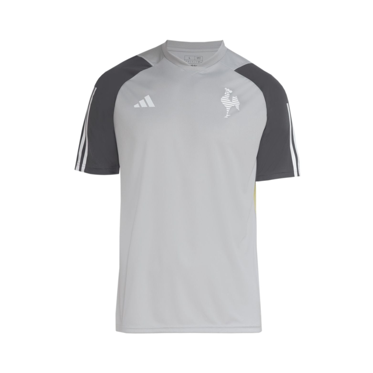 Atlético Mineiro Entraînement 24/25