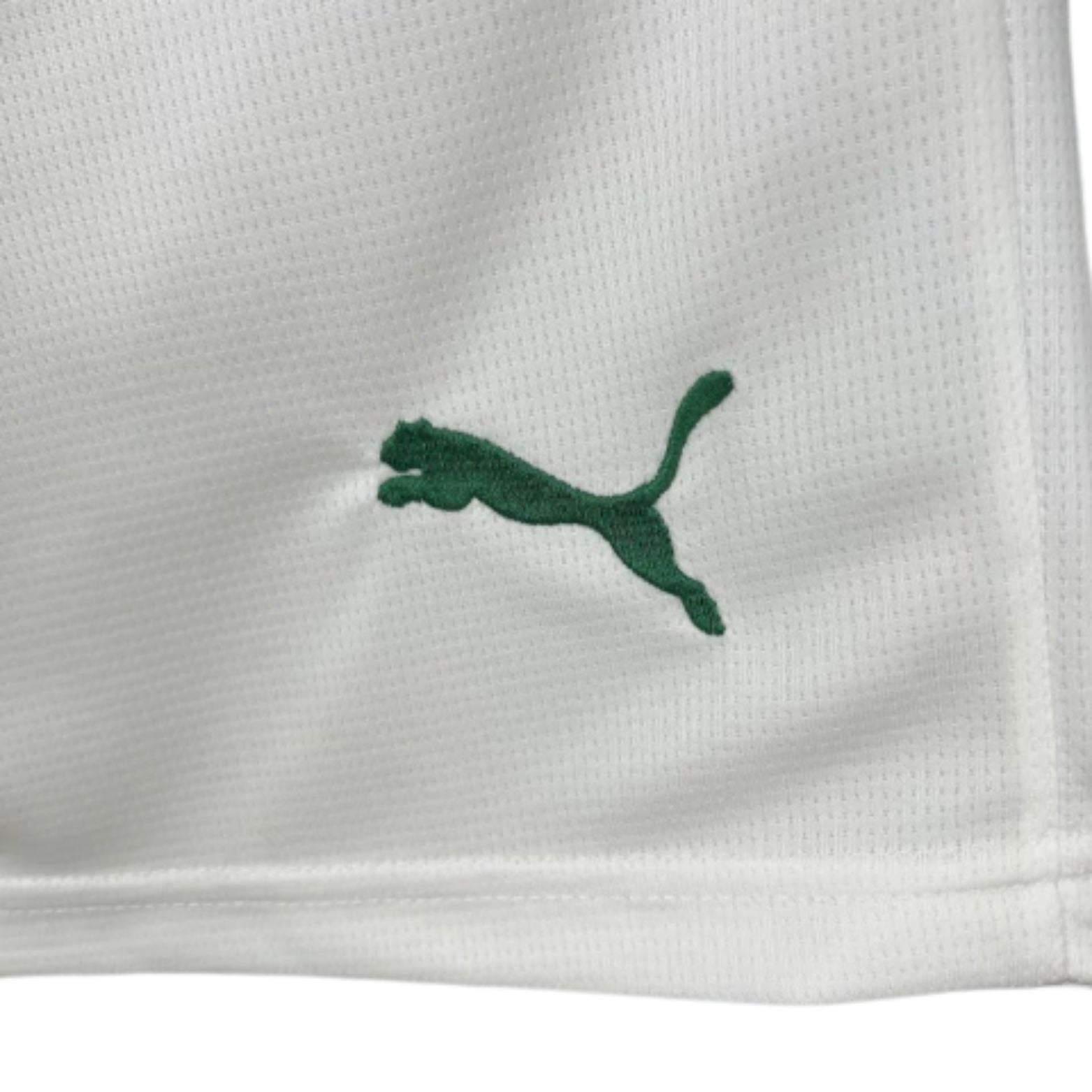 Short Palmeiras Domicile 25/26