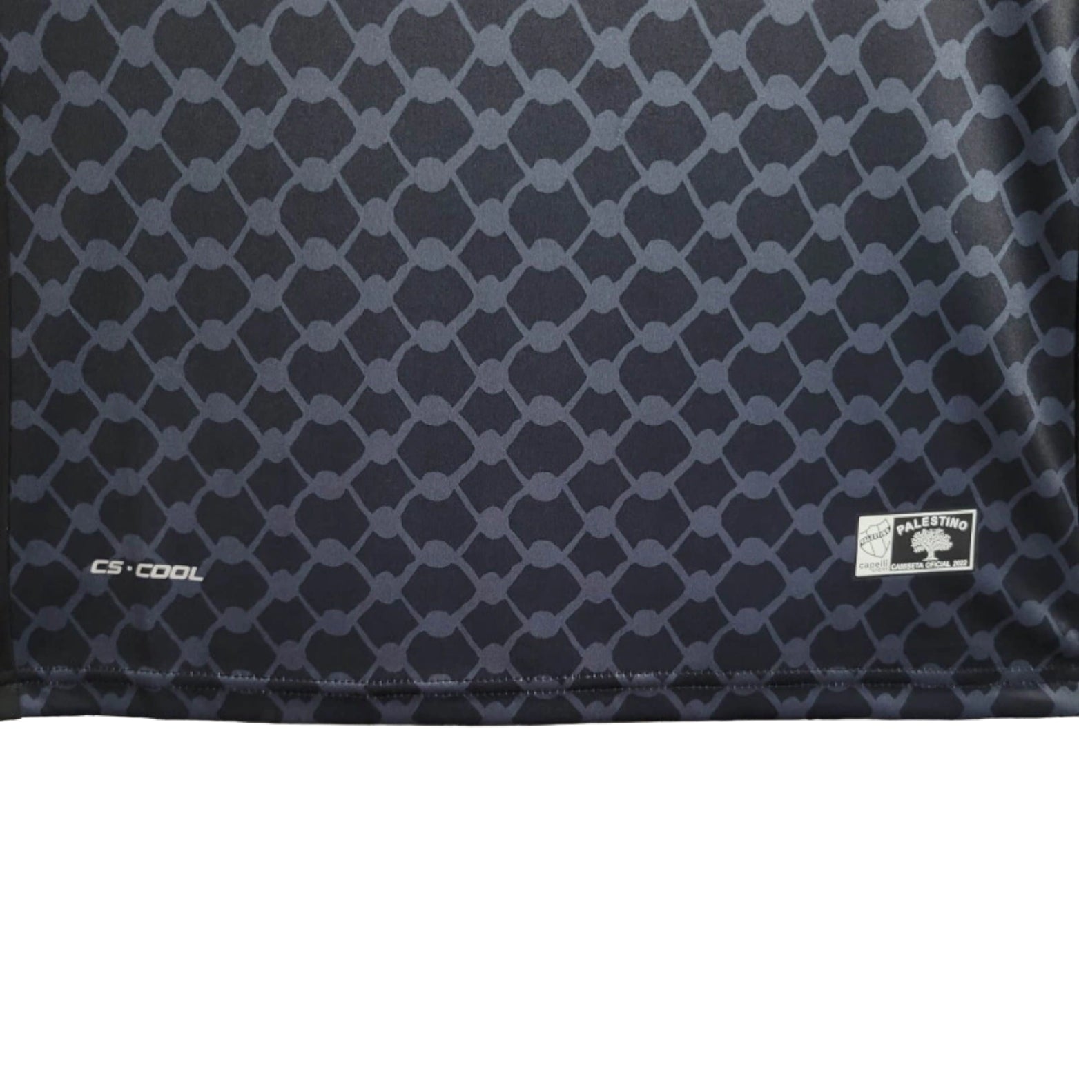 CD Palestino Extérieur 24/25