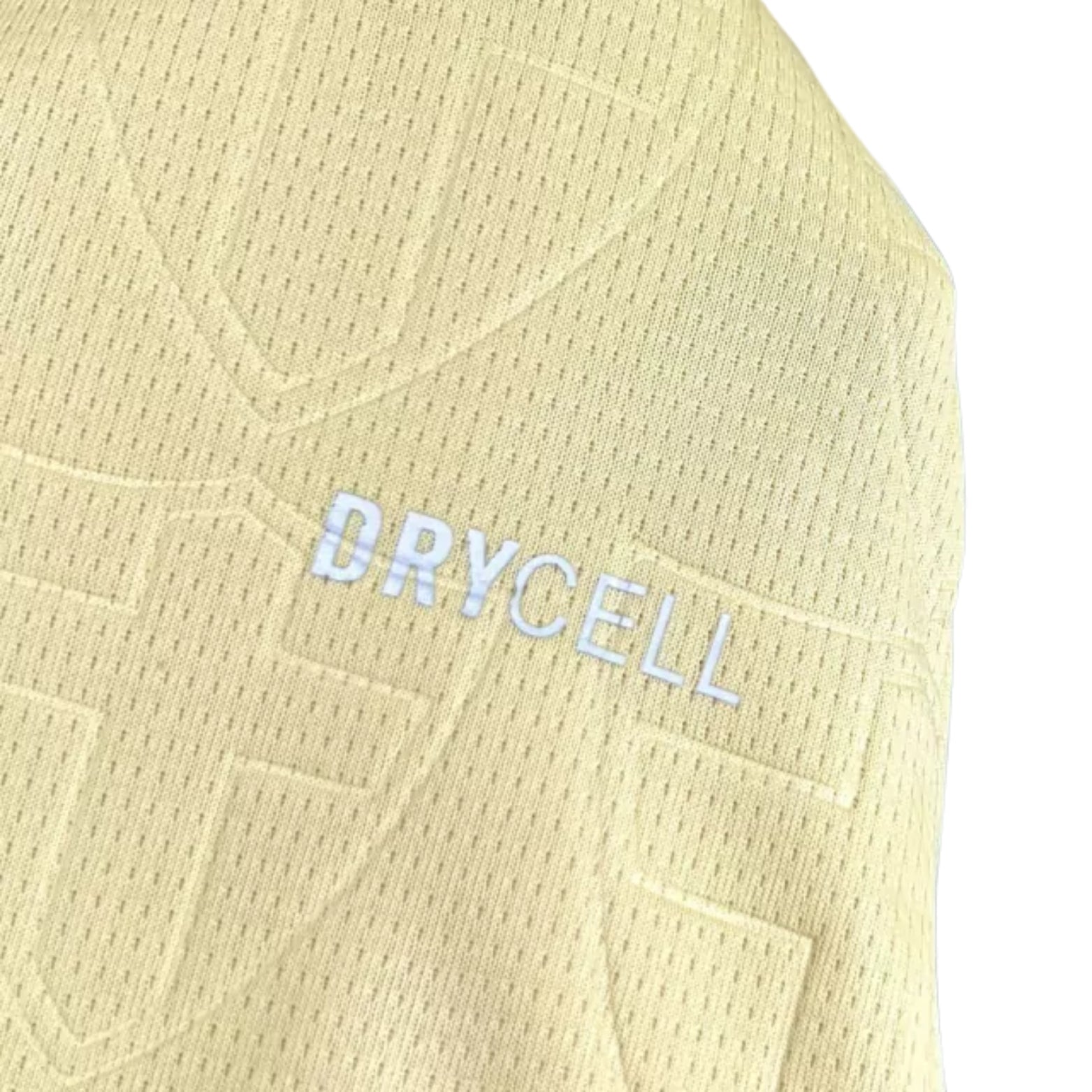 Kit - Palmeiras Troisième 24/25