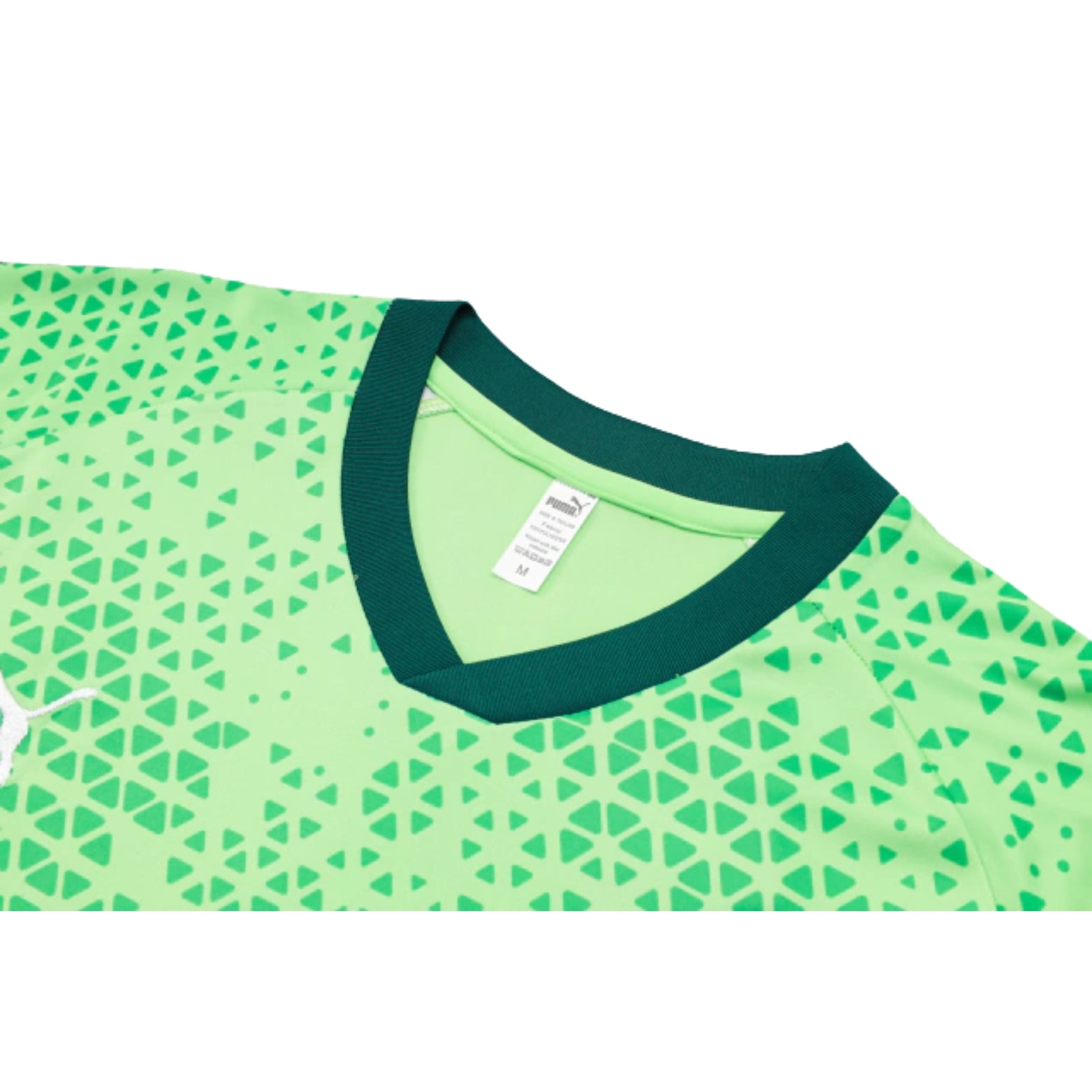 Palmeiras 24/25 - Équipement de Entraînement