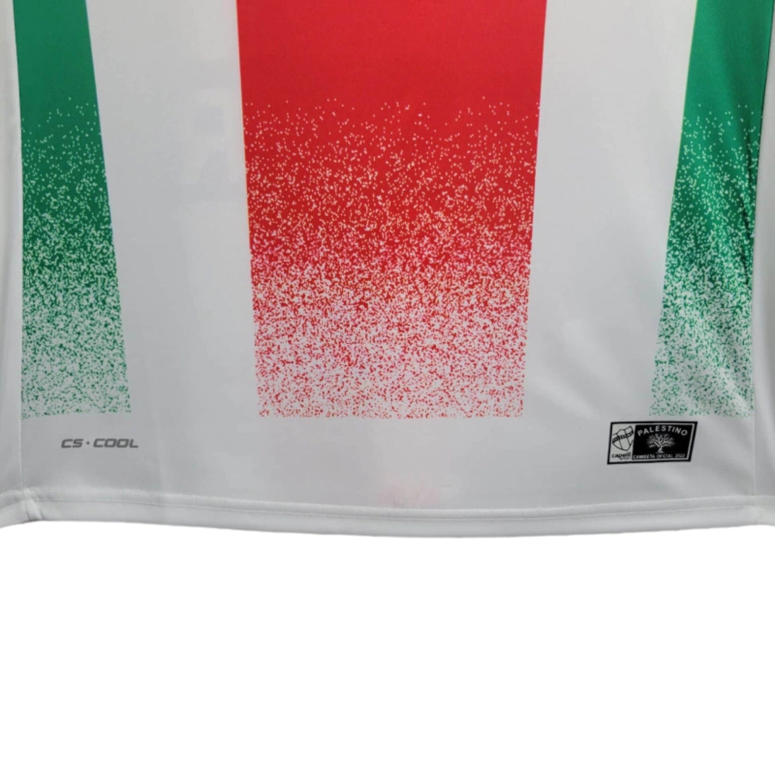 CD Palestino Domicile 24/25