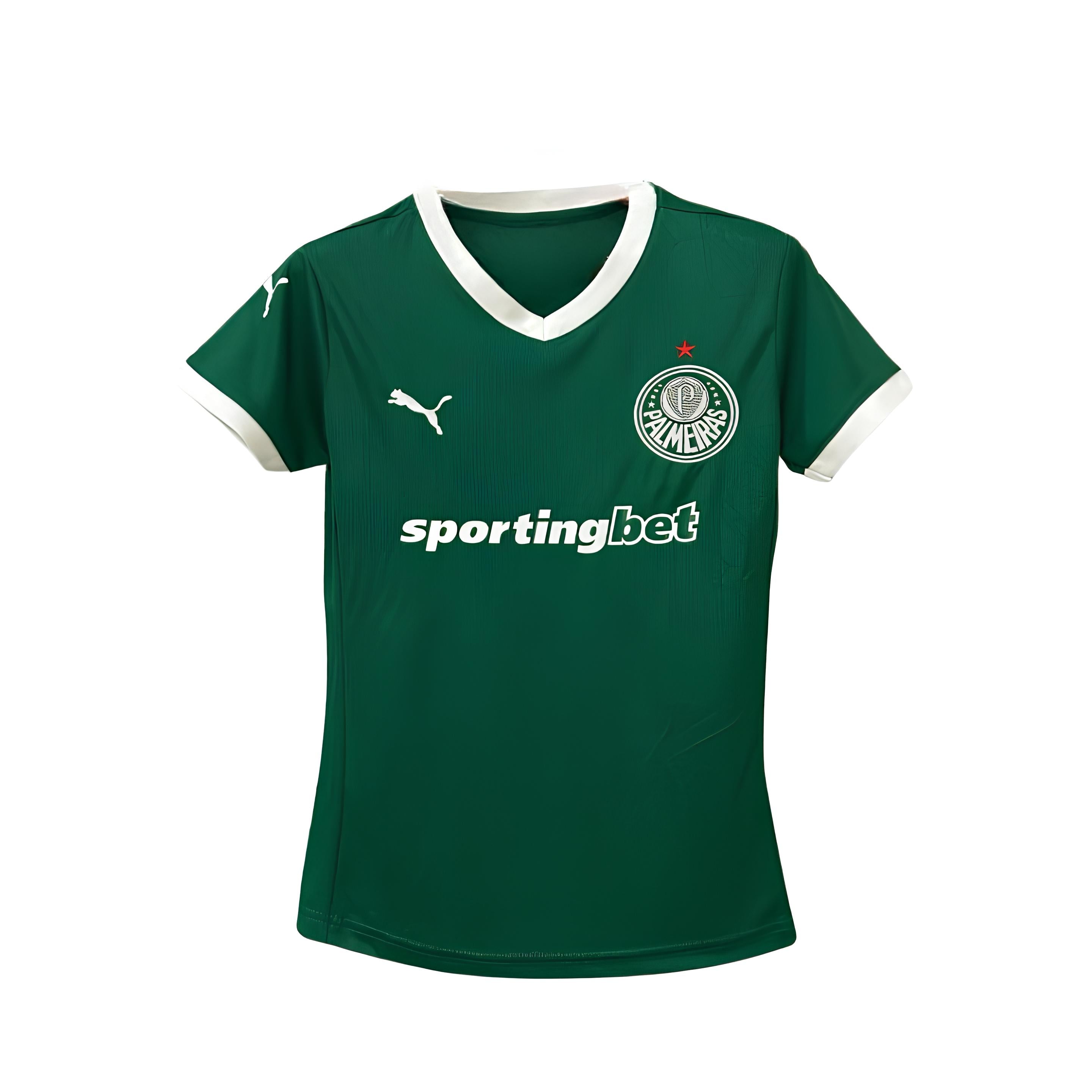 Palmeiras Domicile 25/26 - Version Féminine