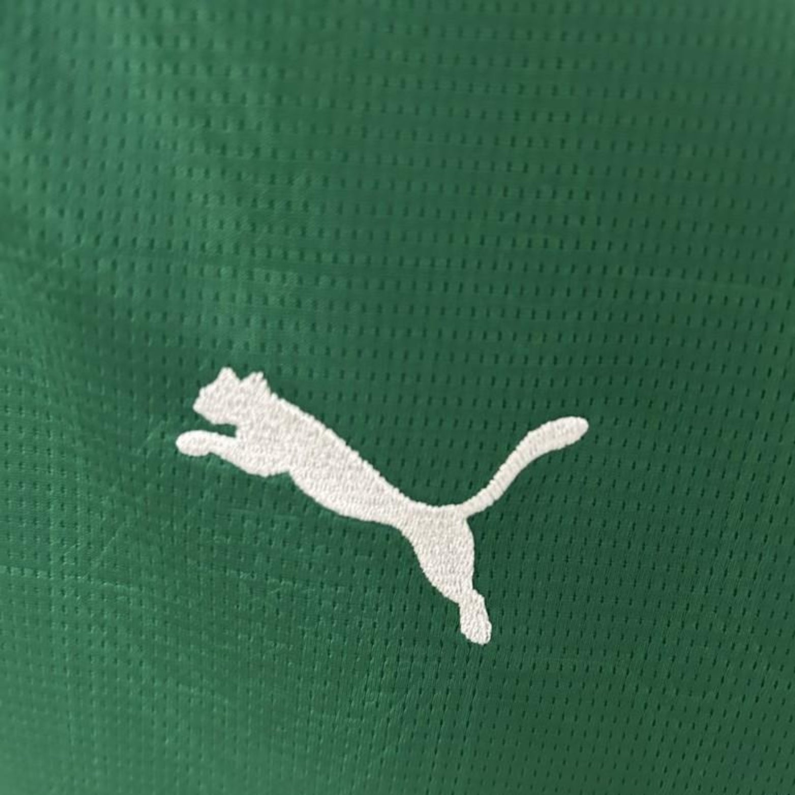 Palmeiras Domicile 25/26 - Version Féminine