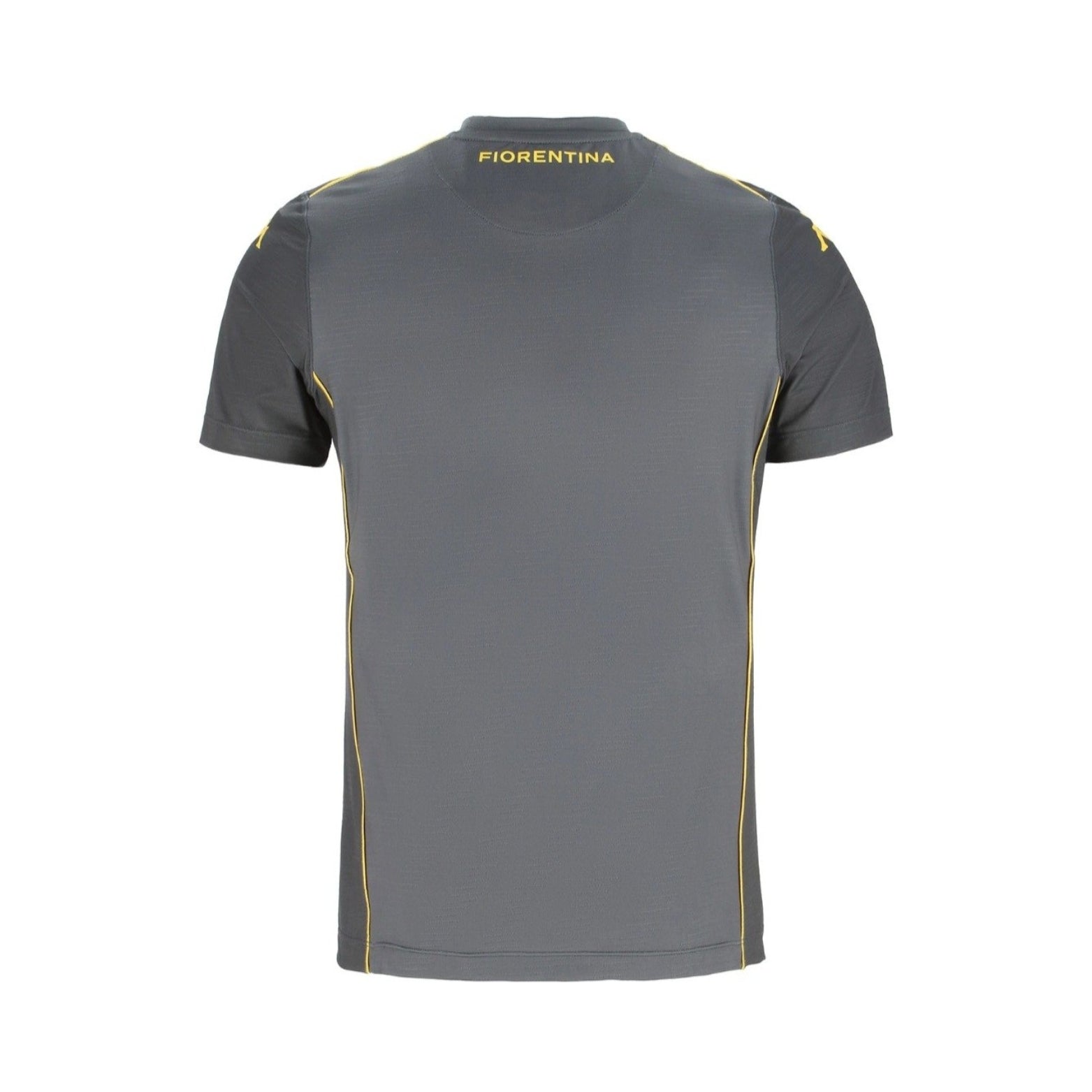 Fiorentina Gardiens de But 25/26