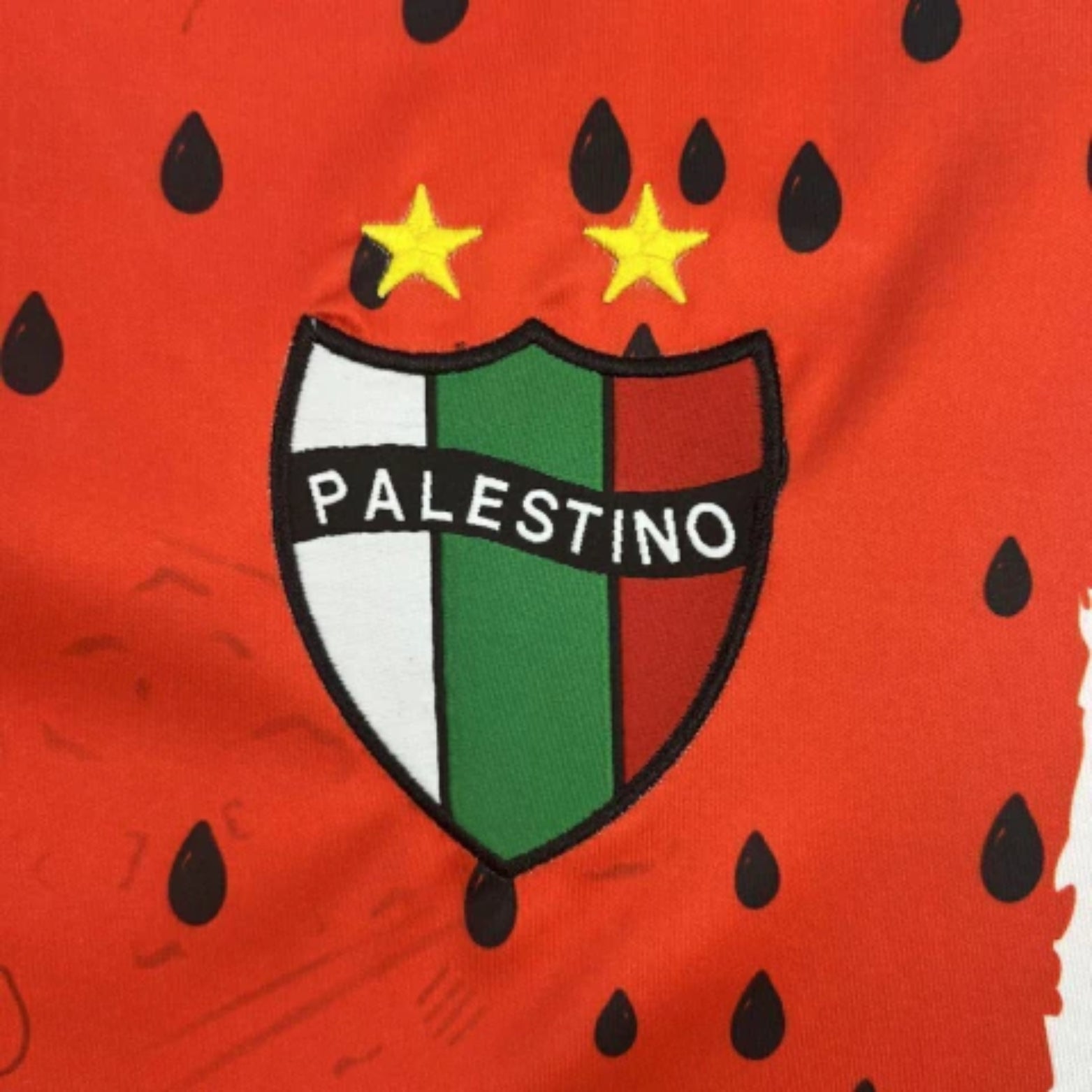 CD Palestino Troisième 25/26