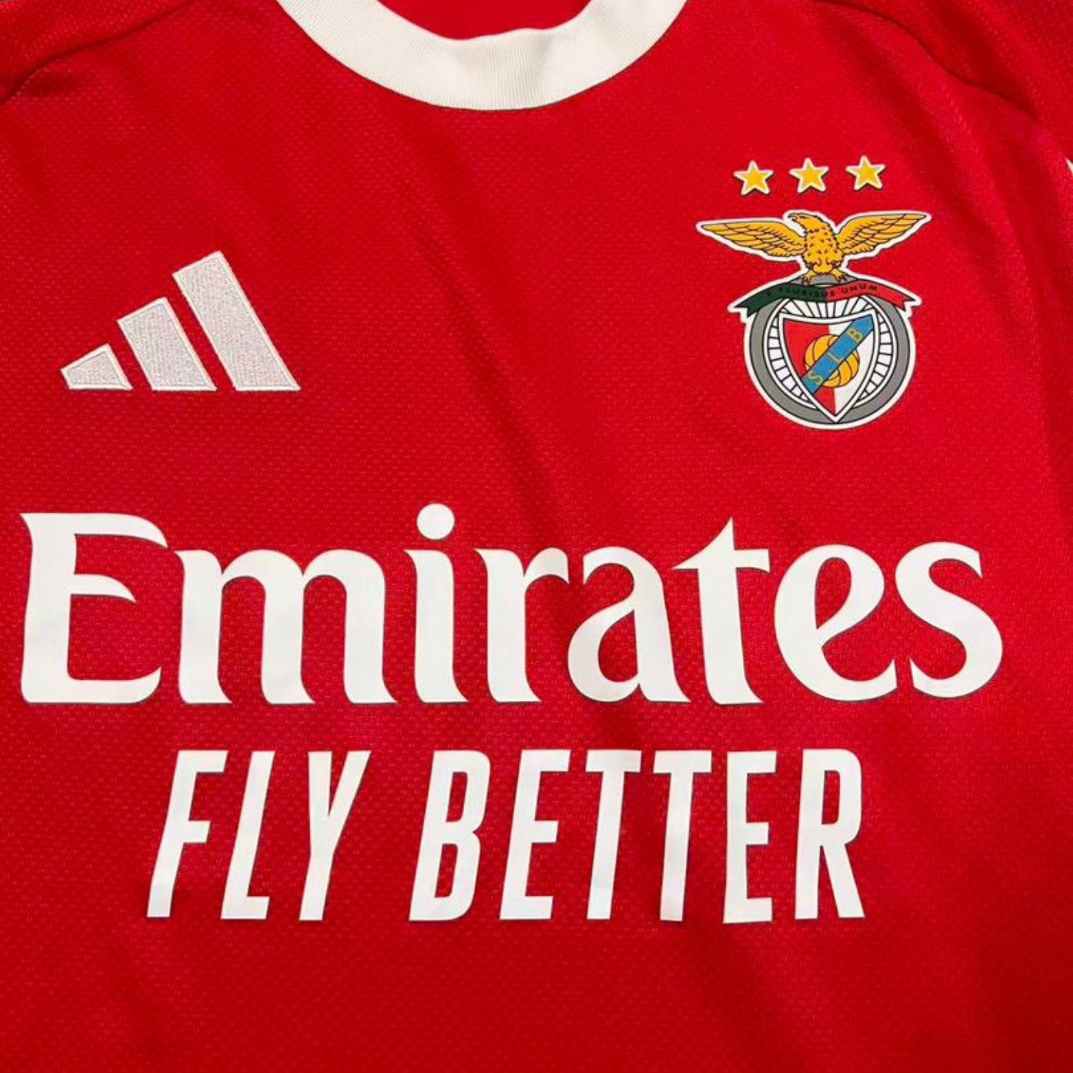 Benfica Domicile 25/26