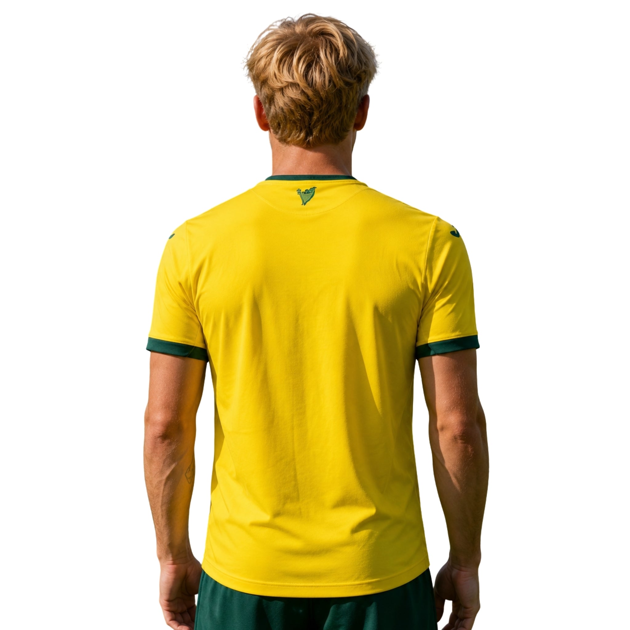 Hibernian Extérieur 25/26