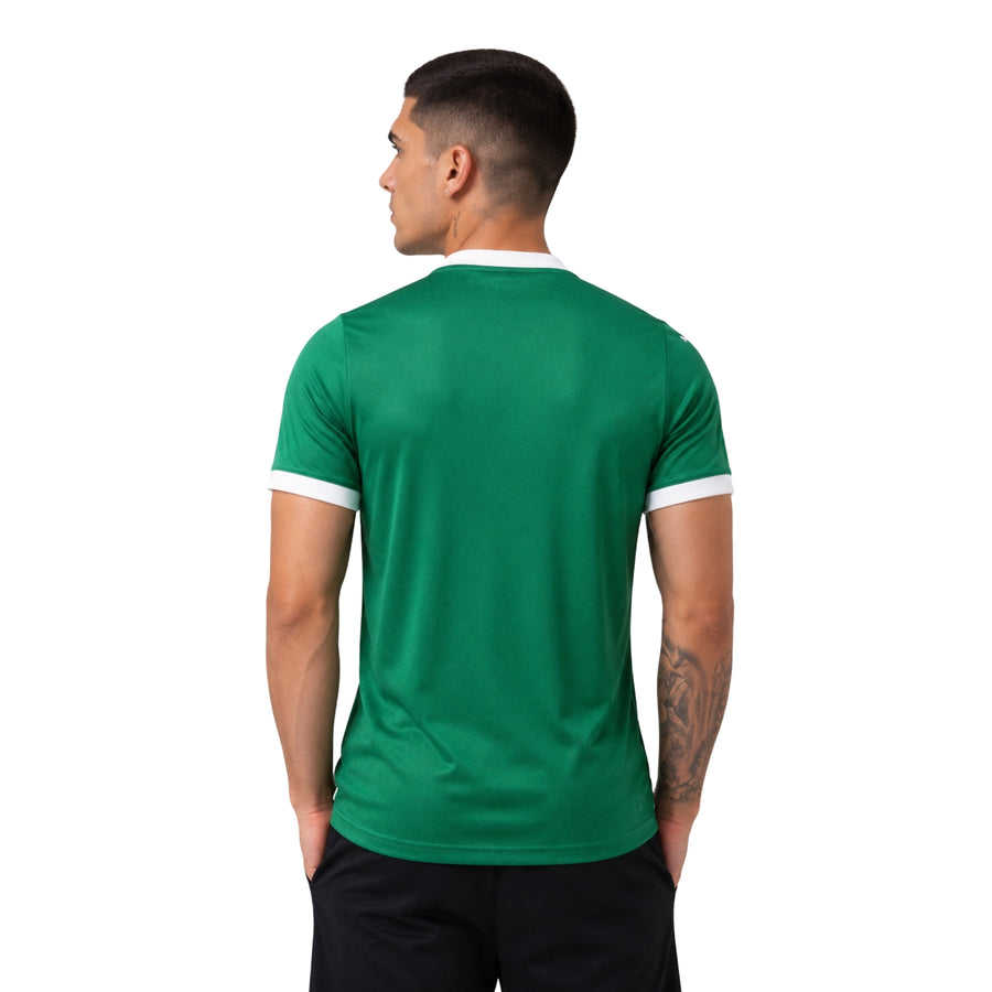 Palmeiras Domicile 25/26 - Version Joueur