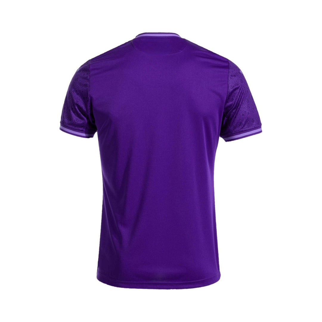 Anderlecht Domicile 24/25