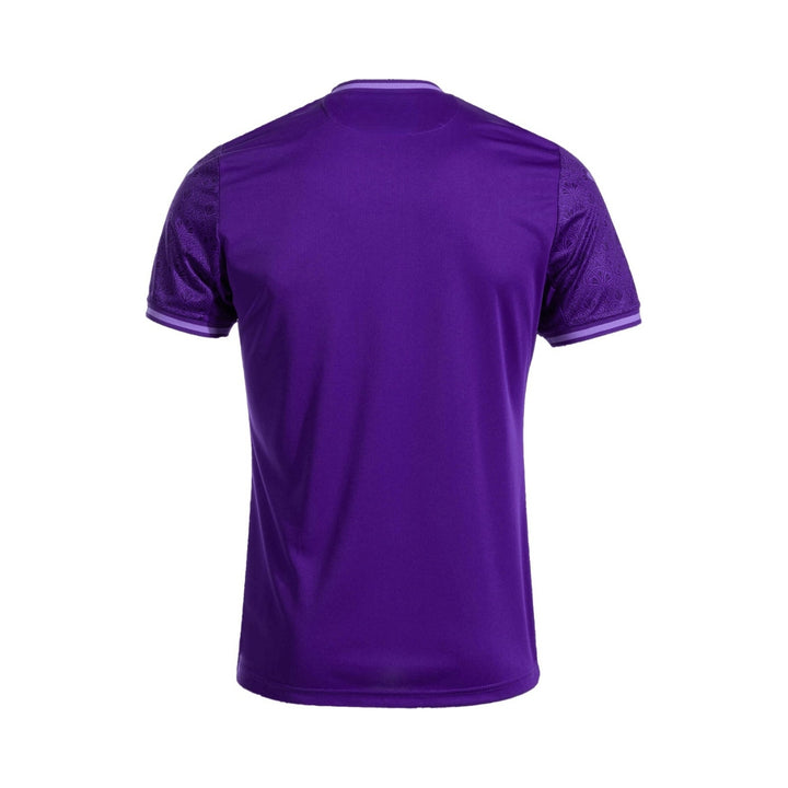 Anderlecht Domicile 24/25