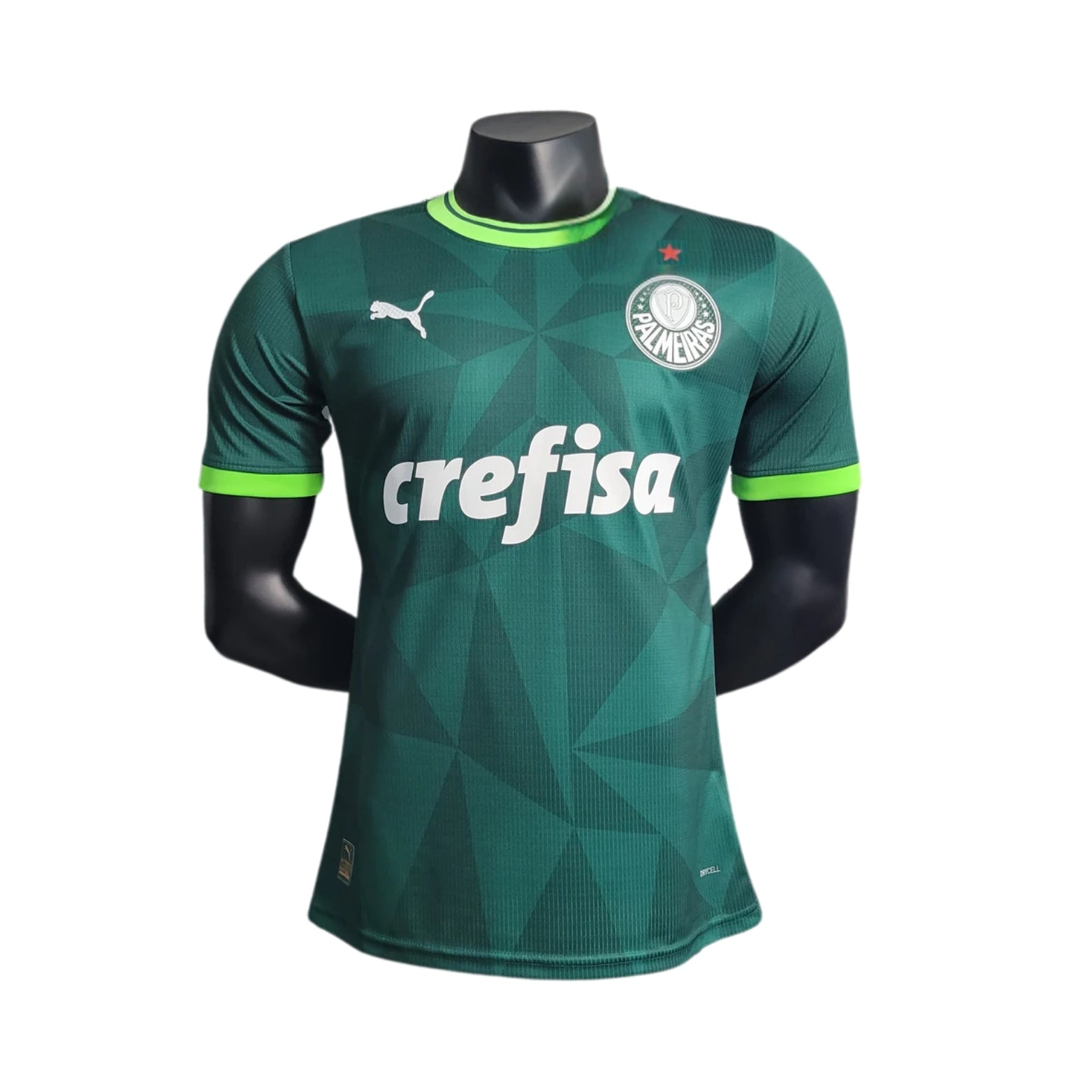 Palmeiras Domicile 23/24 - Version Joueur