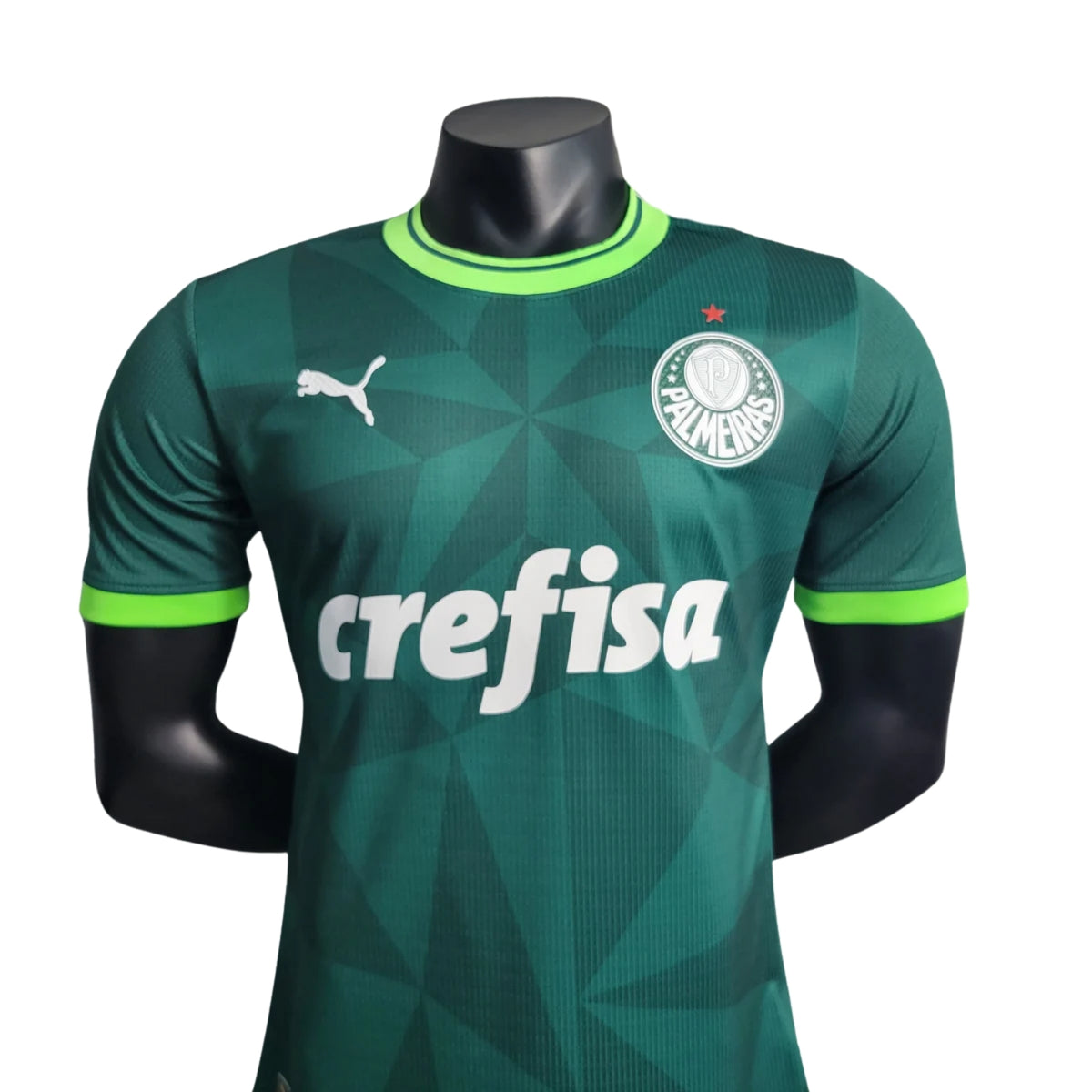 Palmeiras Domicile 23/24 - Détail