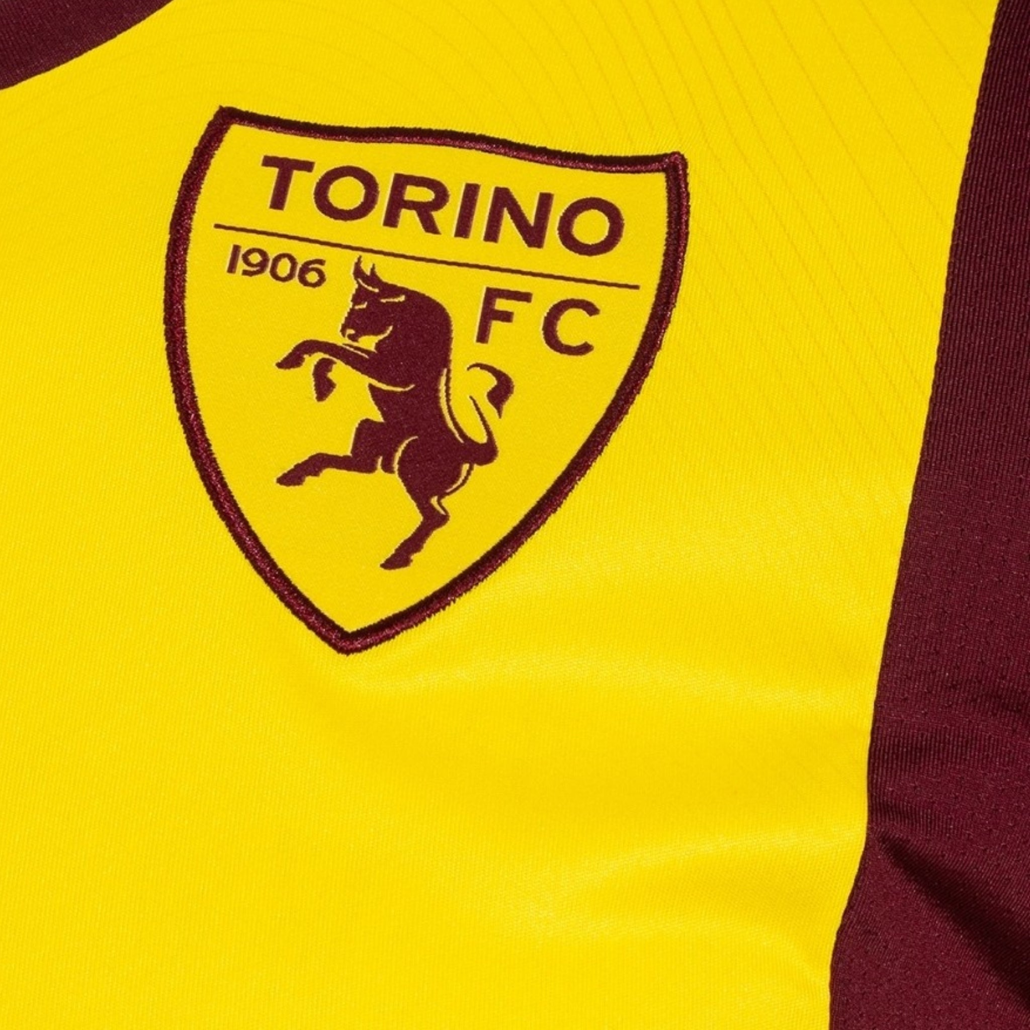 Torino Gardiens de But 26/27