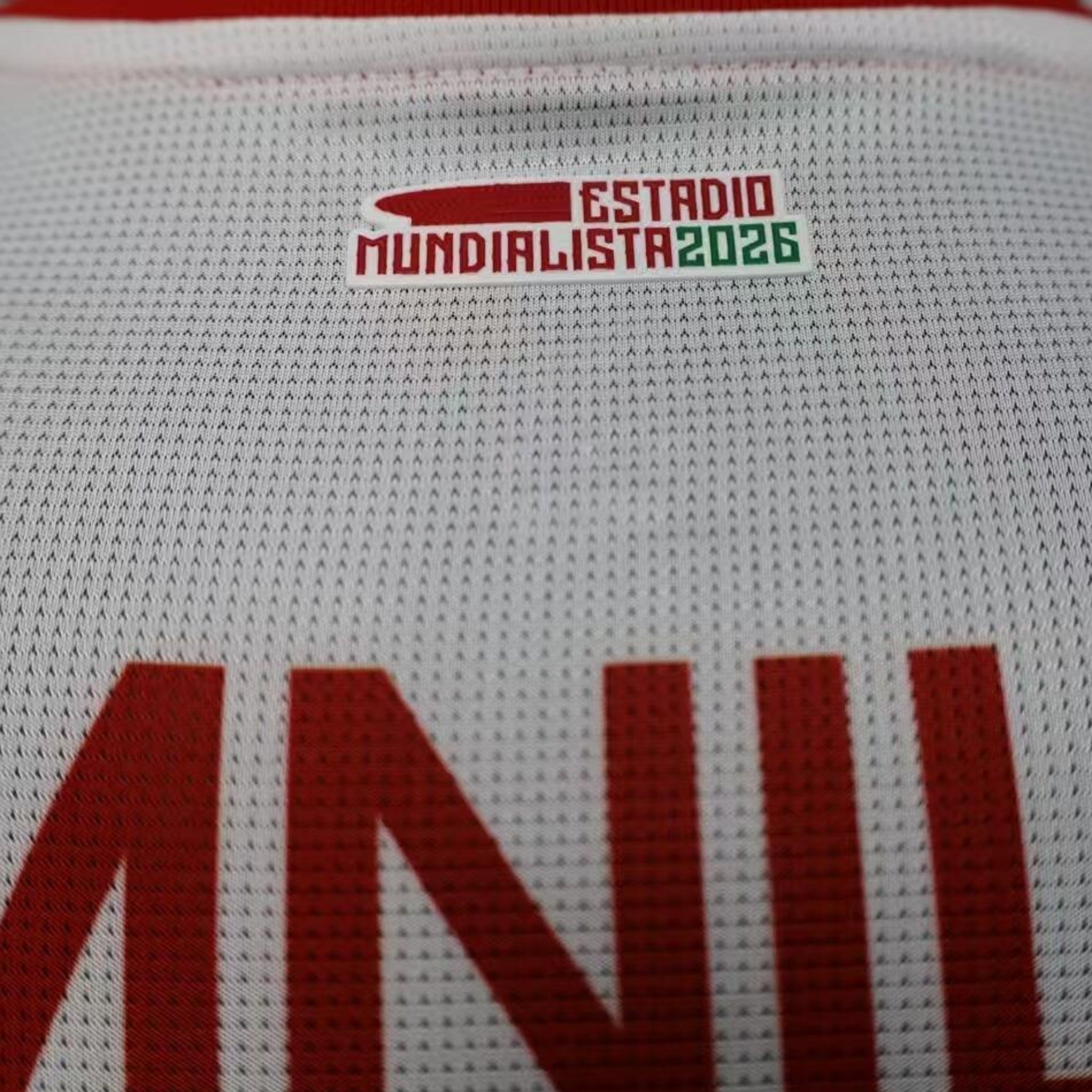 C.D. Guadalajara Chivas Extérieur 25/26 - Vue rapprochée