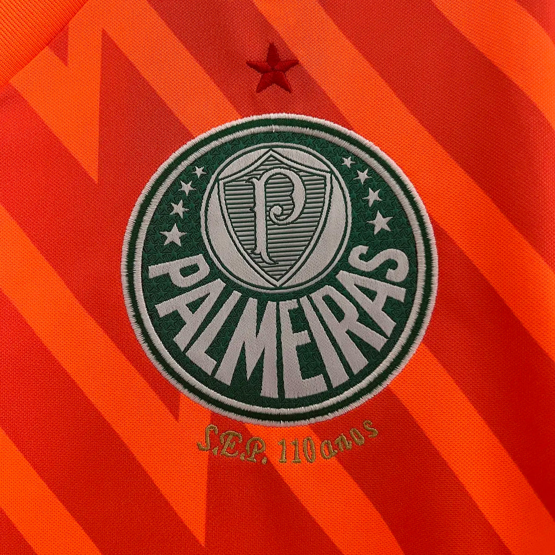 Palmeiras Gardiens de But 24/25