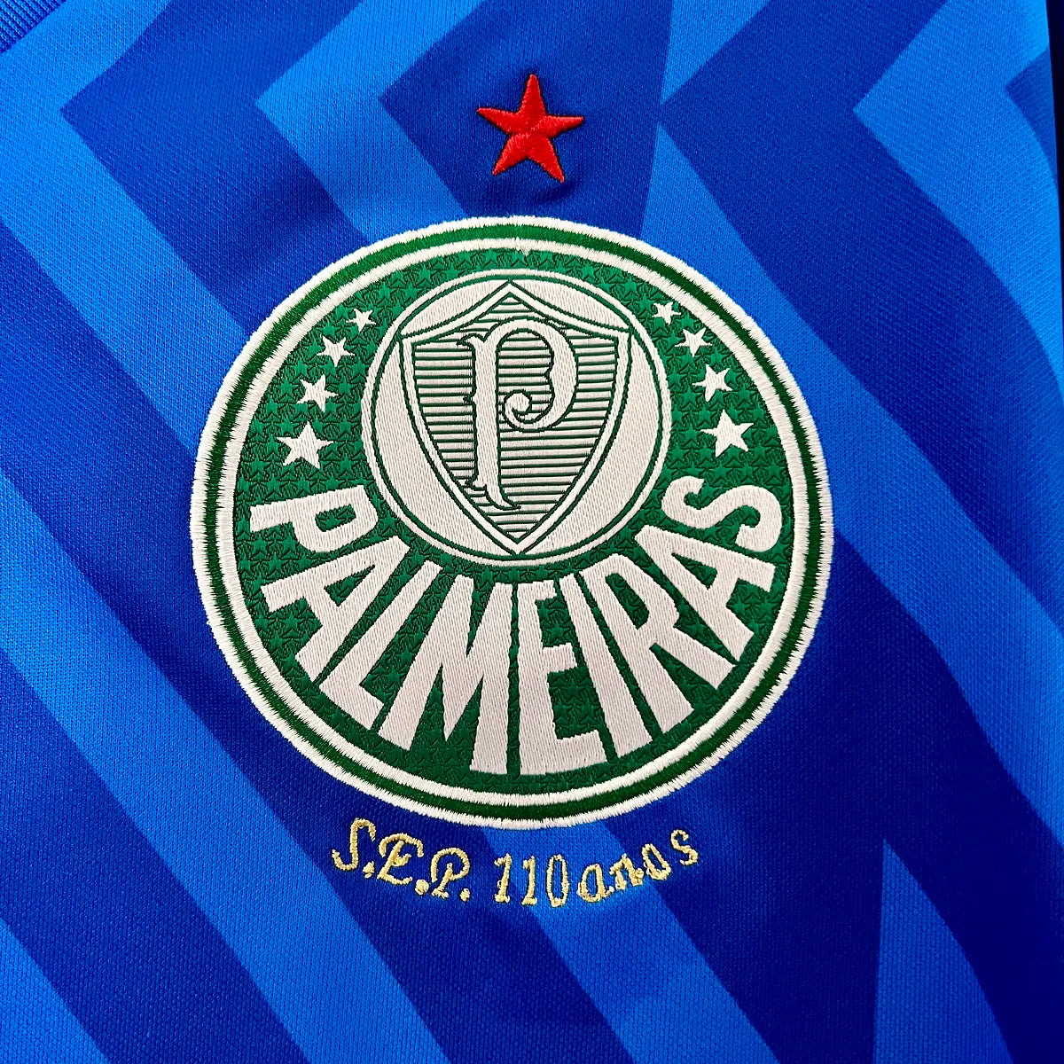 Palmeiras Gardiens de But 24/25 - Vue rapprochée