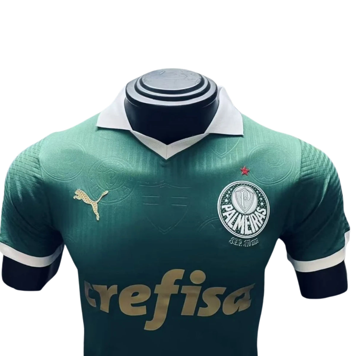 Palmeiras Domicile 24/25 - Détail