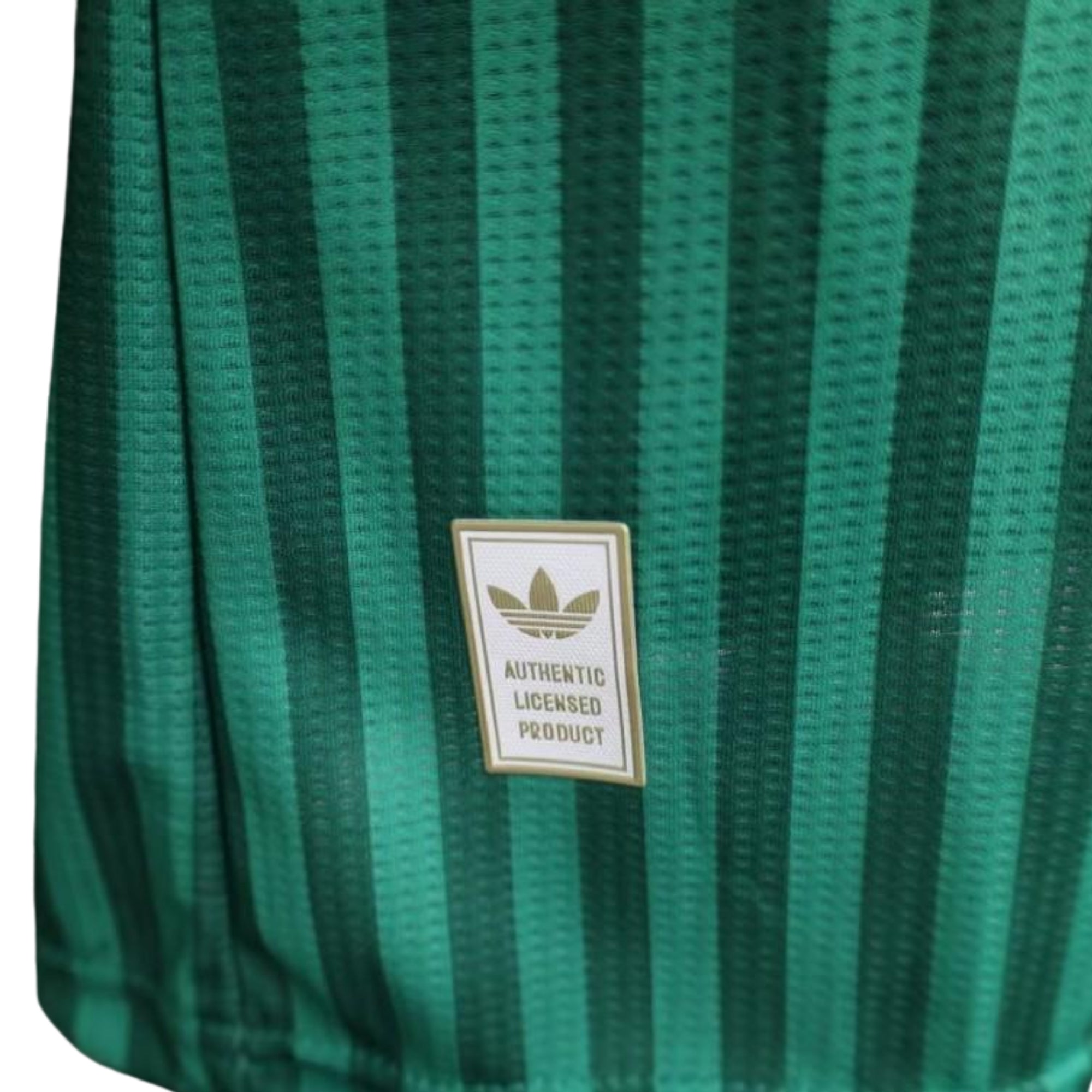 Algerie Domicile 26/27 - Coupe du Monde 2026 - Version Joueur