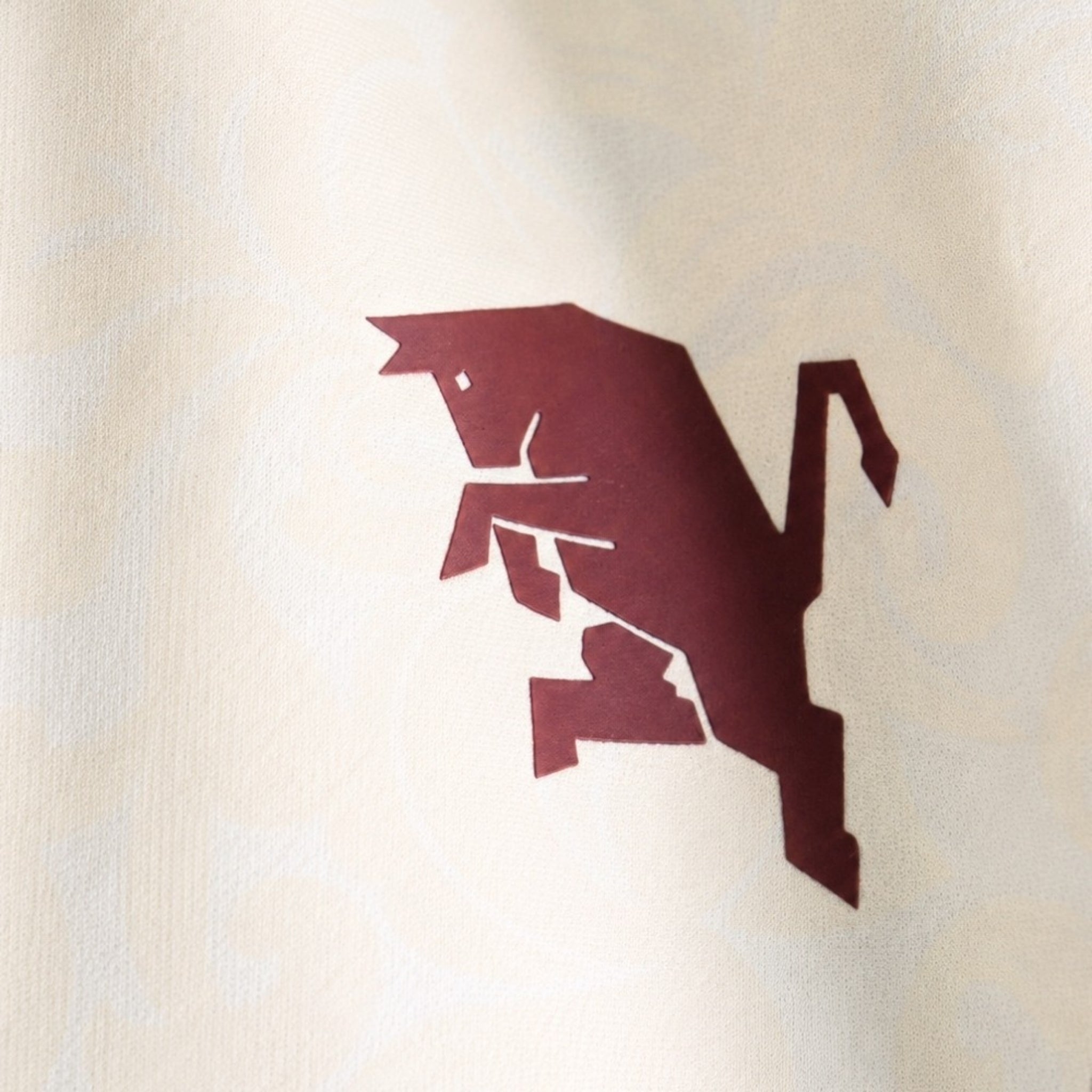 Torino Entraînement 26/27