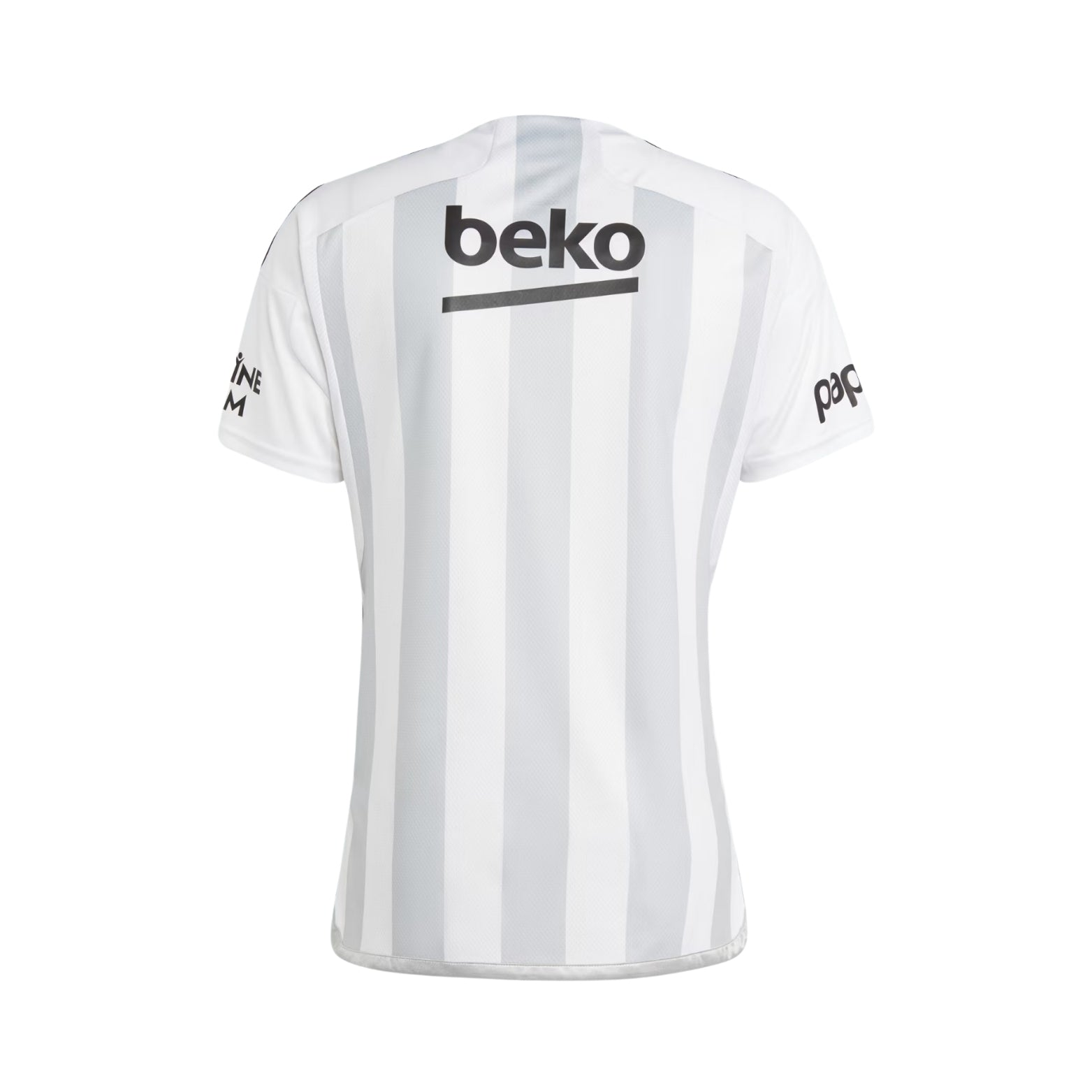 Besiktas Domicile 23/24