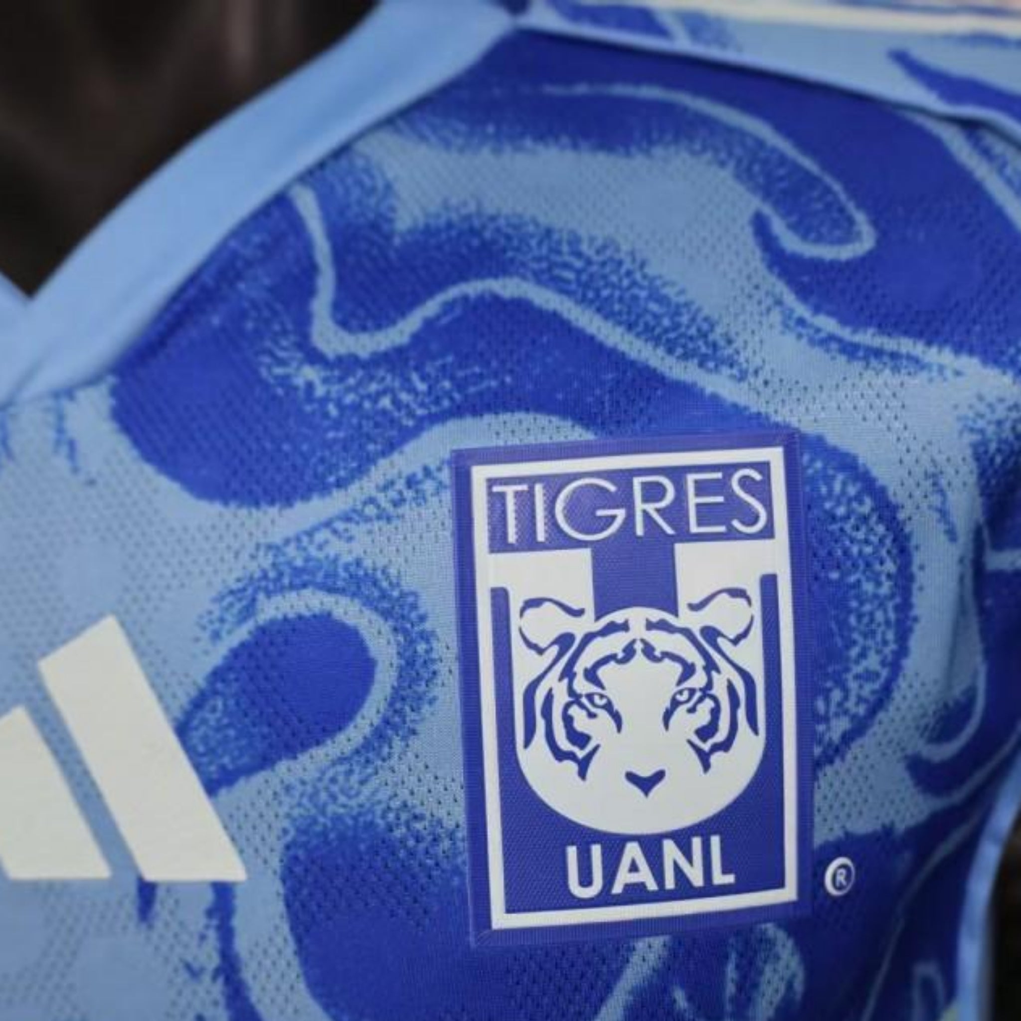 Tigres Extérieur 25/26 - Version Joueur