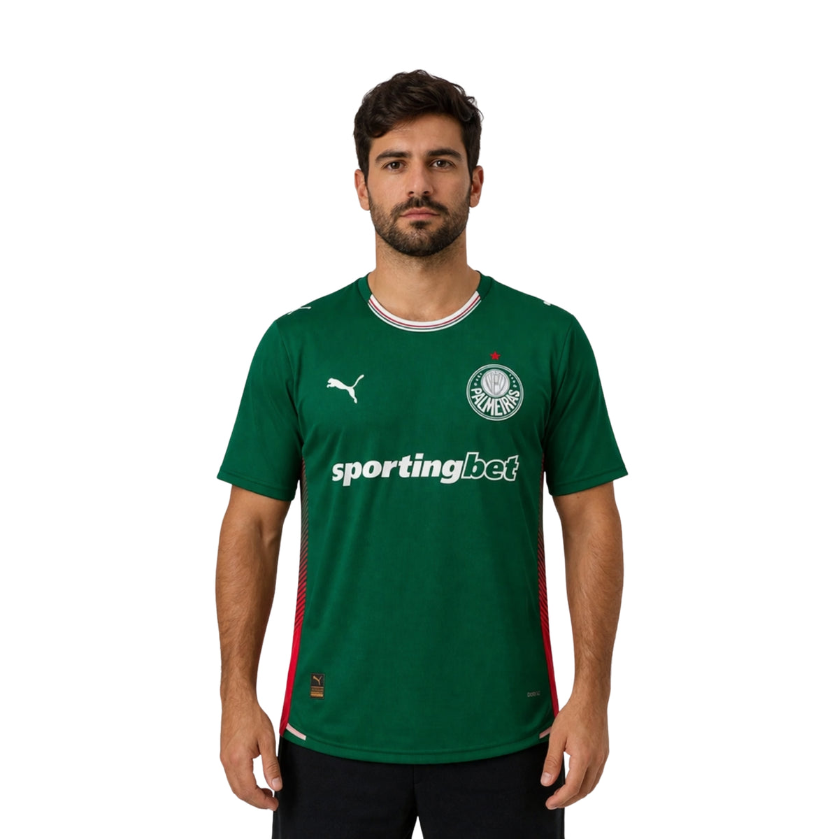 Palmeiras Domicile 26/27 - Vue de dos