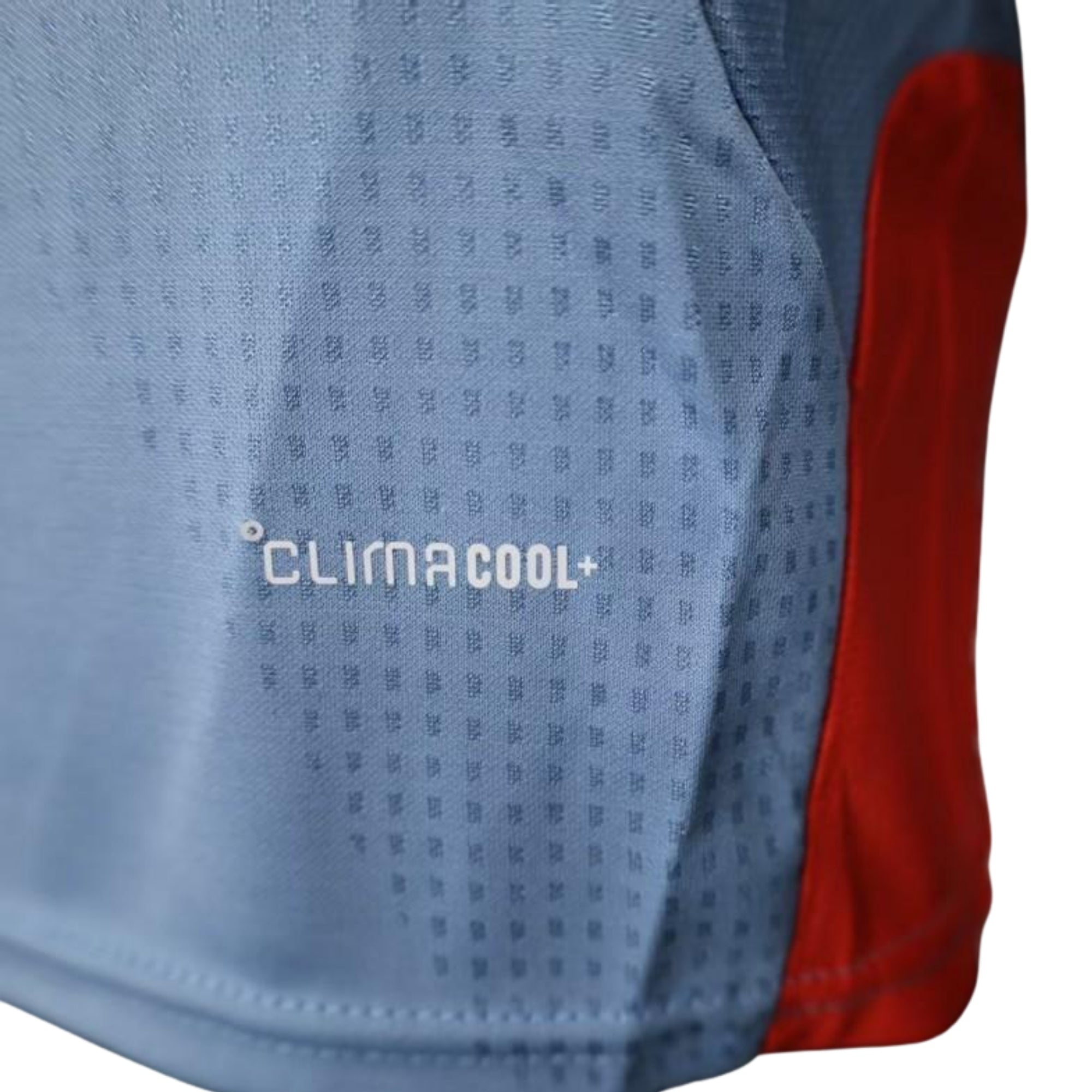 Japon Entraînement 26/27 - Coupe du Monde 2026 - Version Joueur