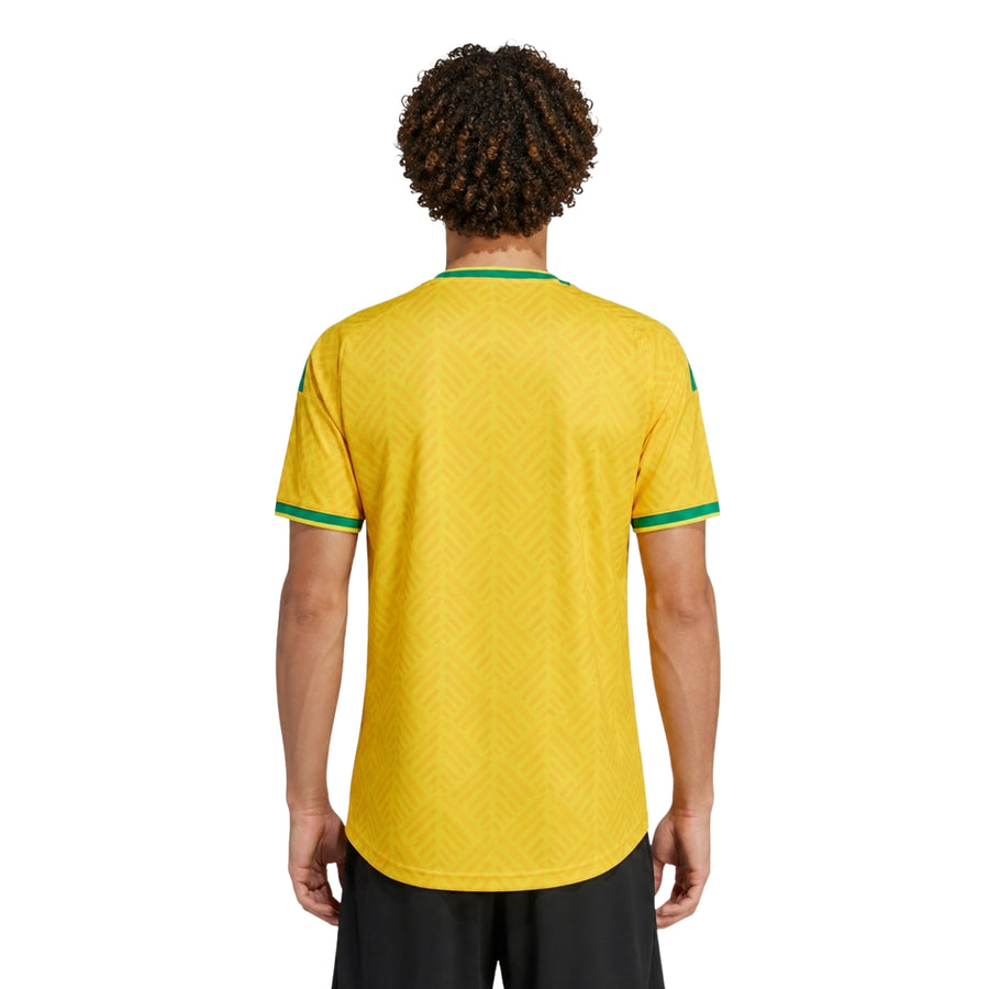Afrique du Sud Domicile 26/27 - Coupe du Monde 2026