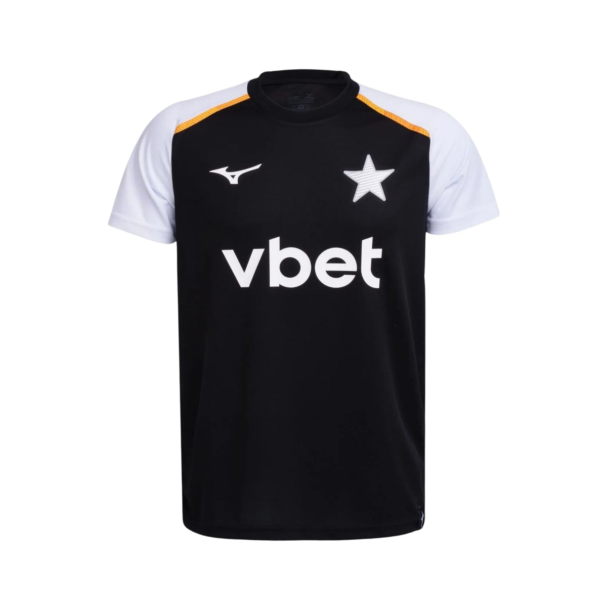 Botafogo Entraînement 26/27