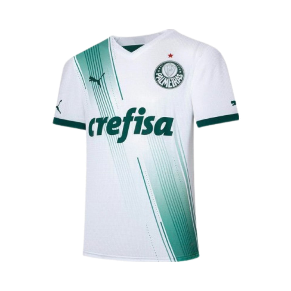 Palmeiras Extérieur 23/24 - Détail