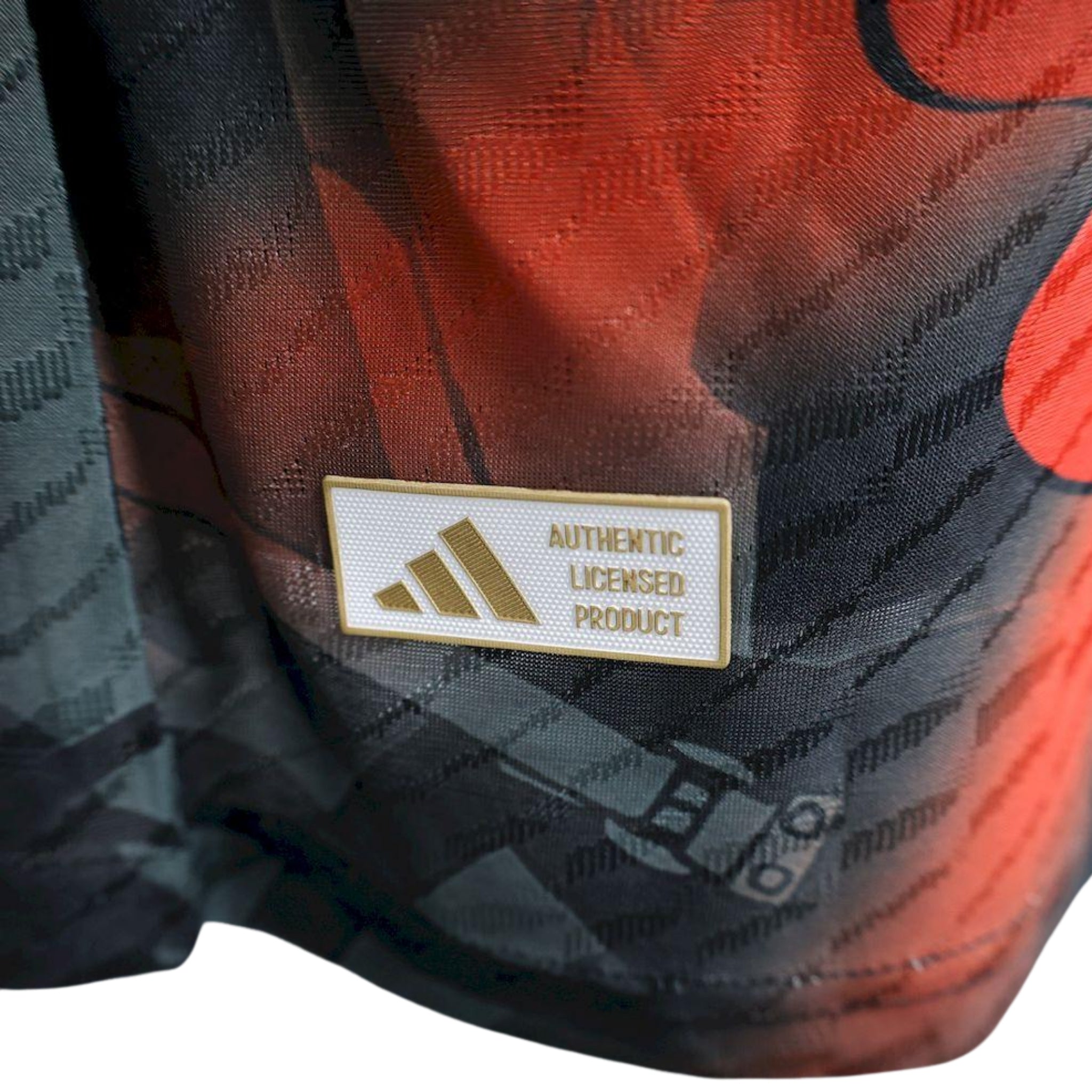 Japon Édition Spéciale 25/26 - Version Joueur