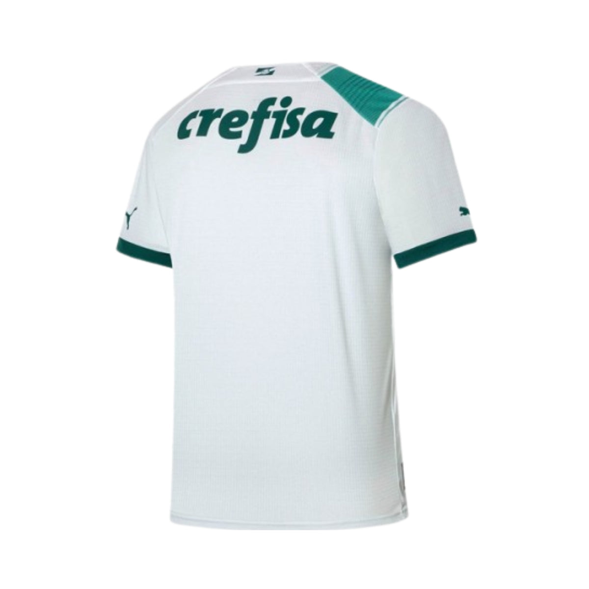 Palmeiras Extérieur 23/24 - Vue de dos