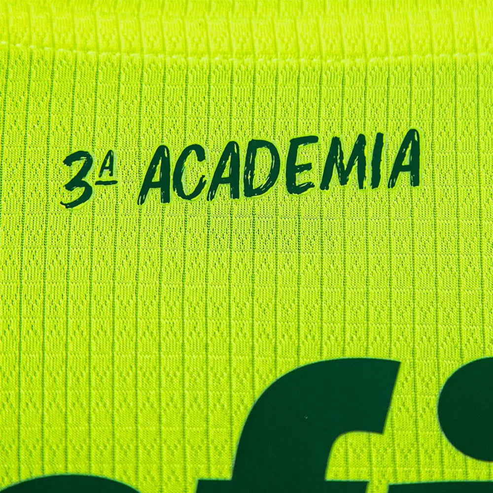 Palmeiras Tercera 23/24