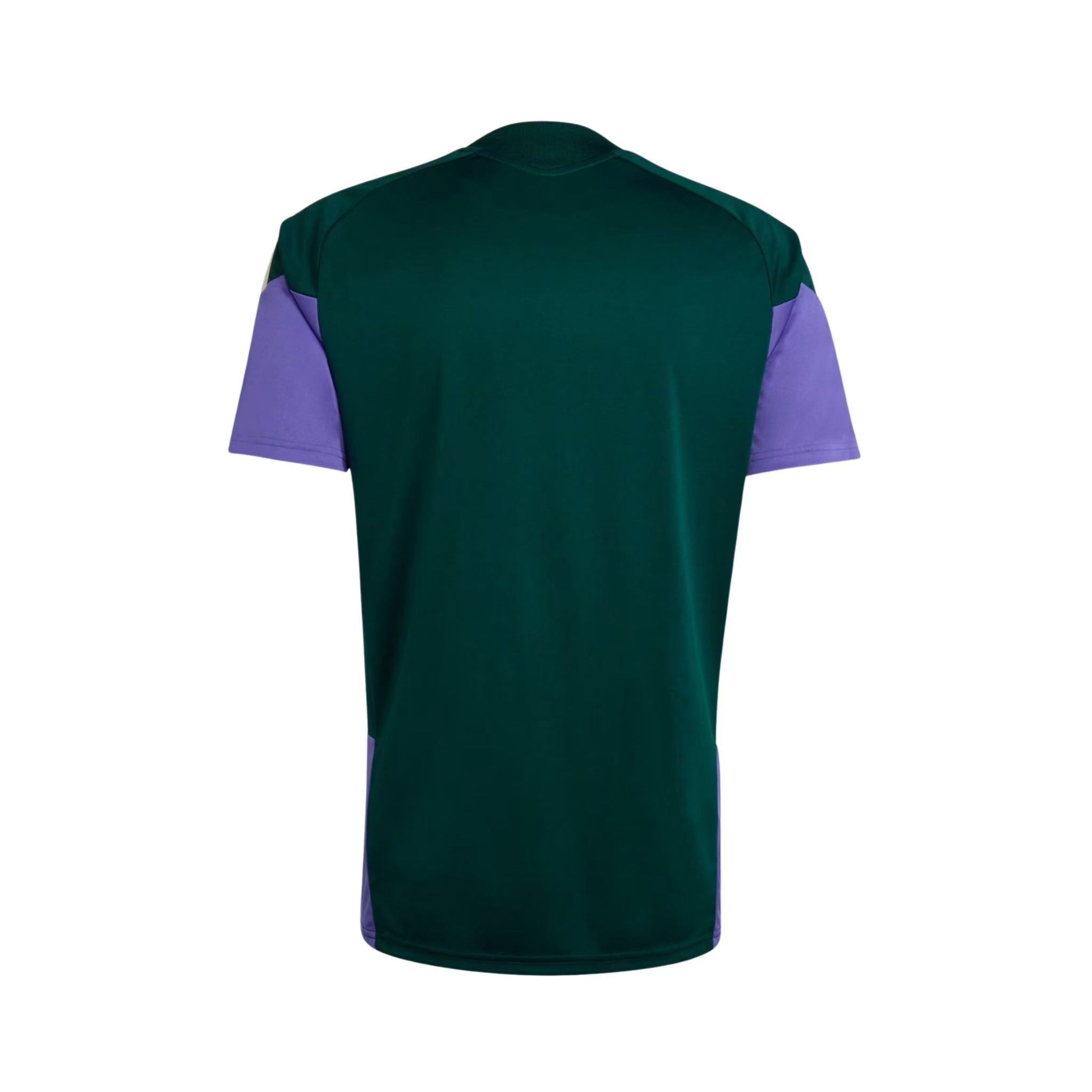 Arabie Saoudite Entraînement 26/27 - Détail