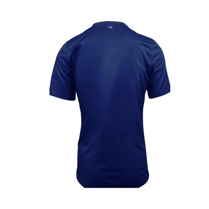 PSG Domicile 12/13