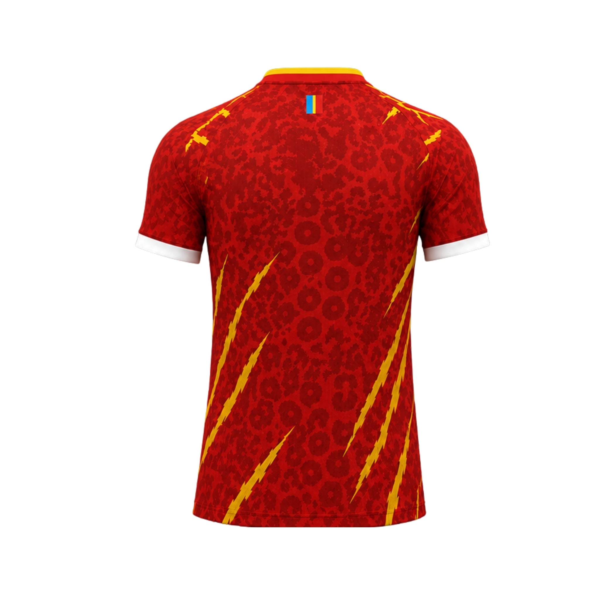 Congo Troisième 26/27 - Coupe du Monde 2026 - Version Joueur