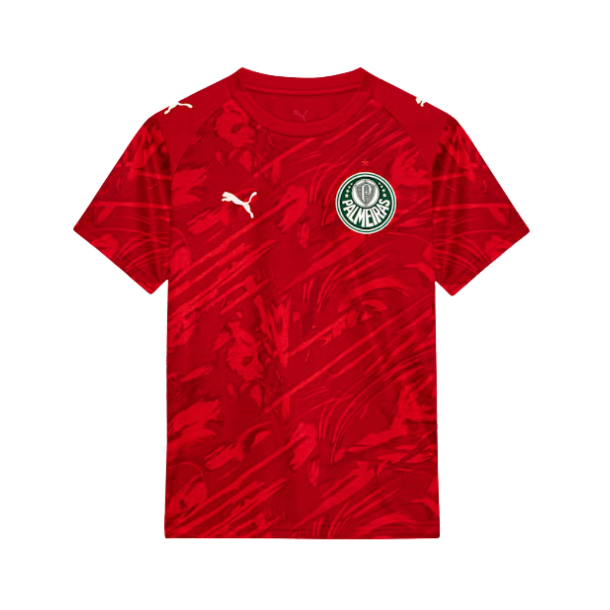 Palmeiras Gardiens de But 26/27 - Vue de face
