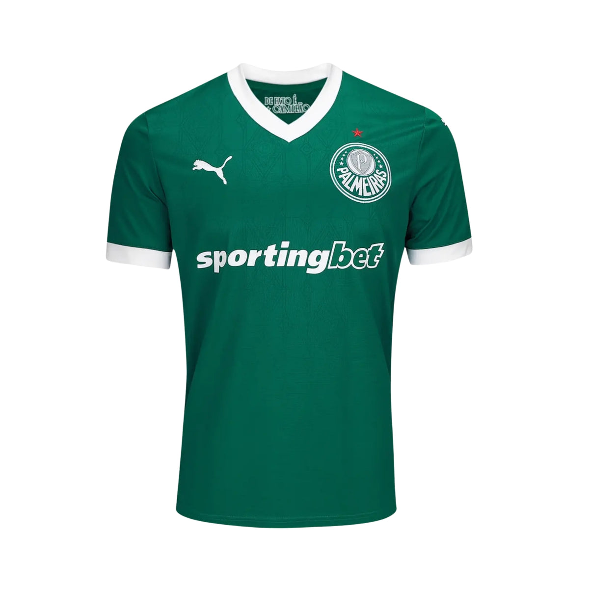 Palmeiras Domicile 25/26 - Vue de face