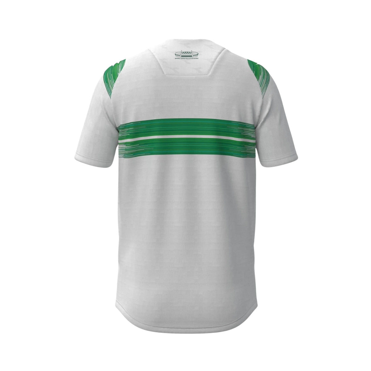 Coritiba Domicile 24/25 - Vue de dos